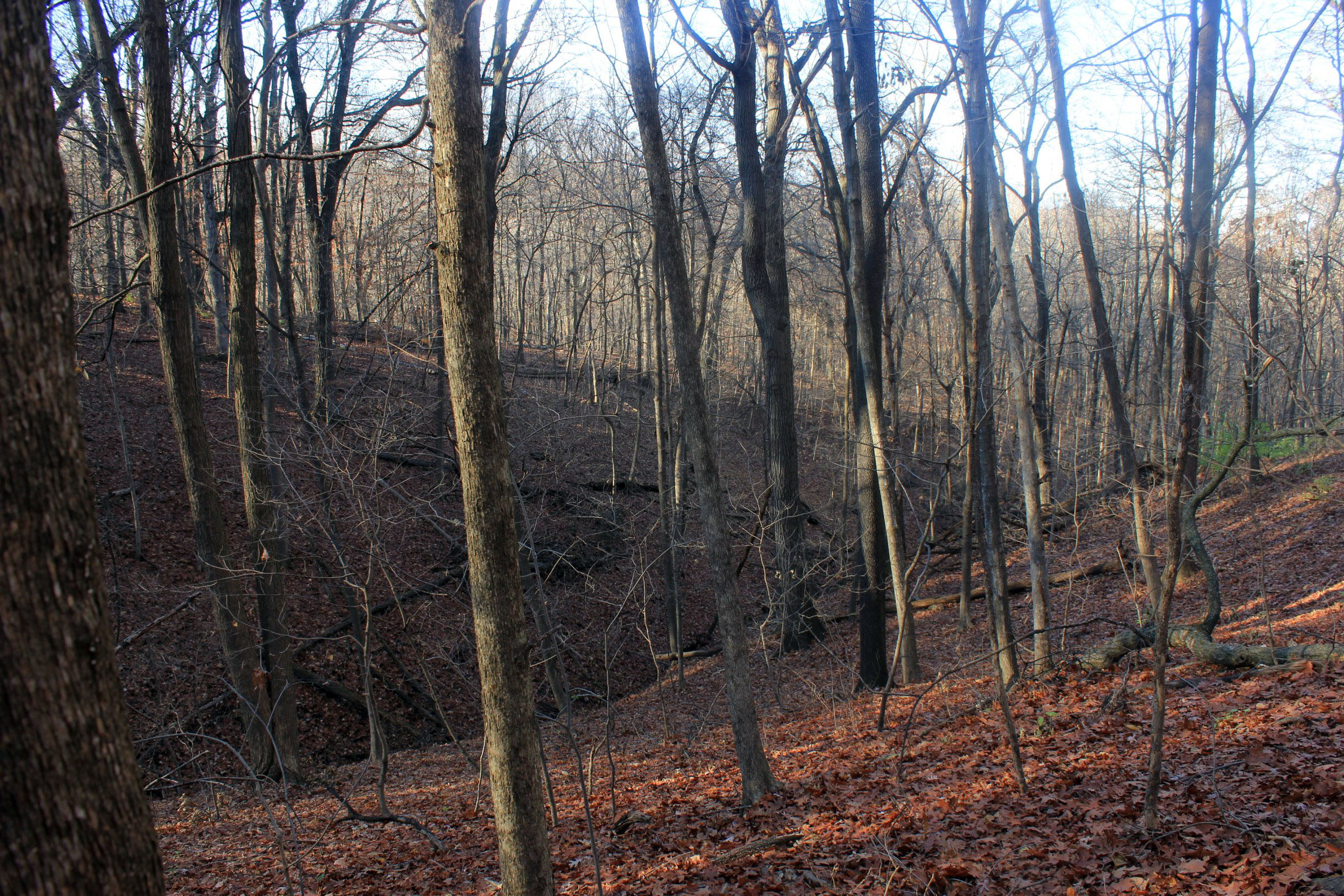 Bellevue State Park