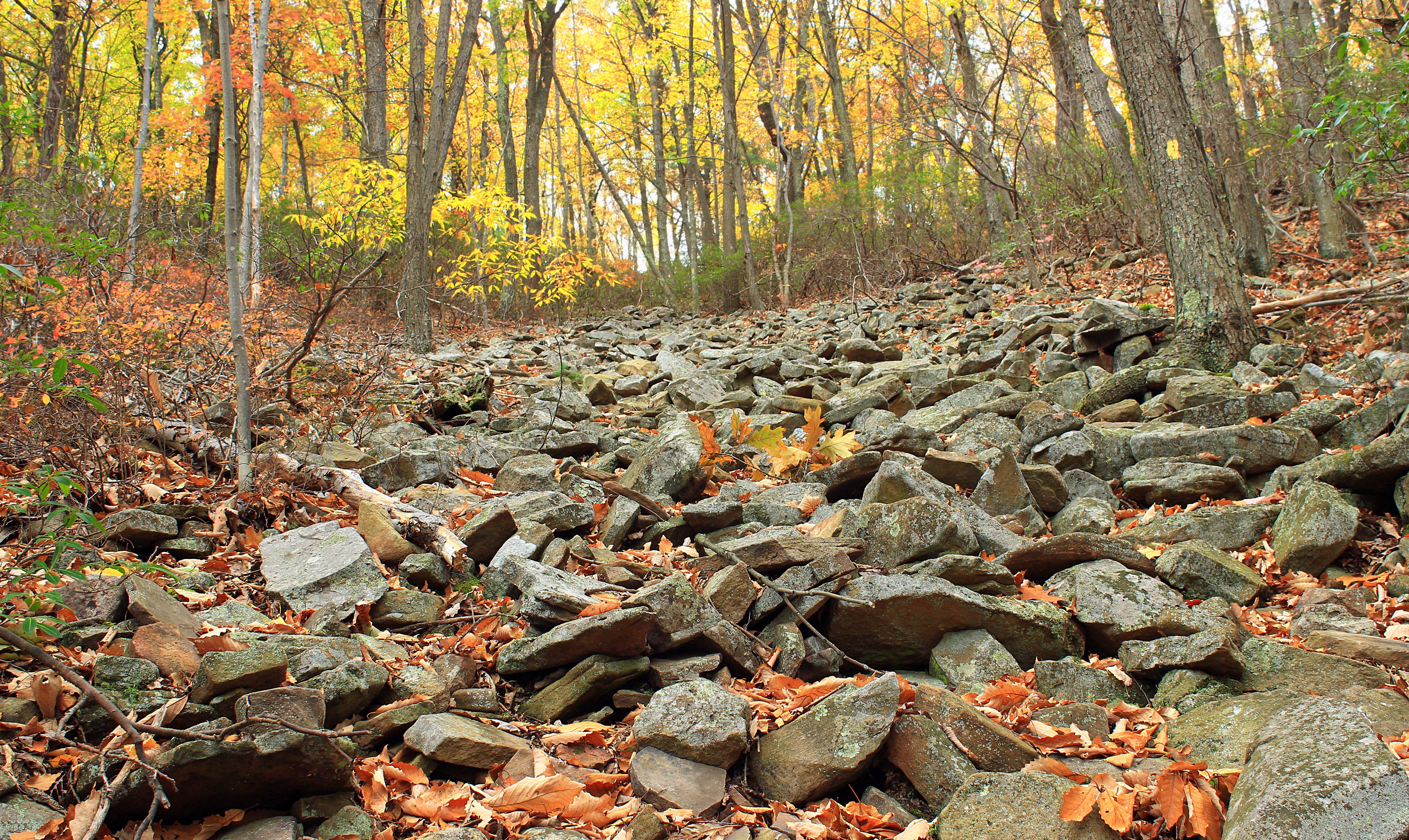 Ravensburg State Park