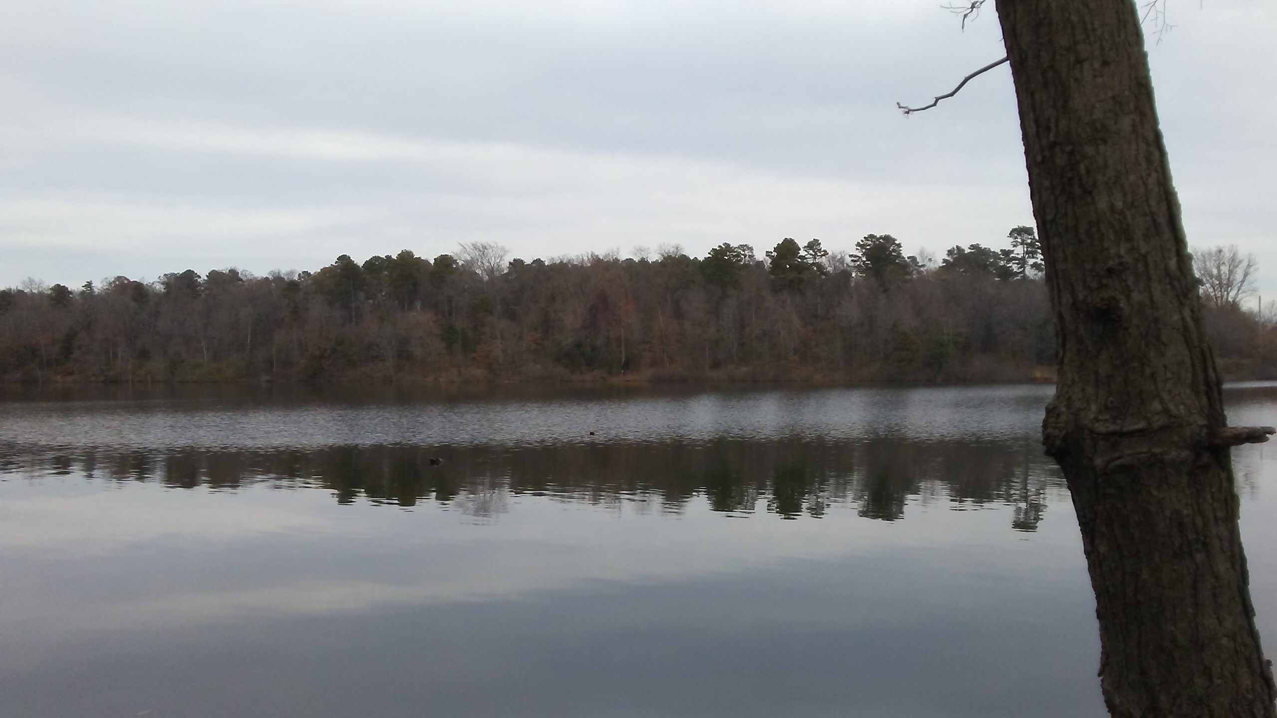 Lake Bob Sandlin State Park