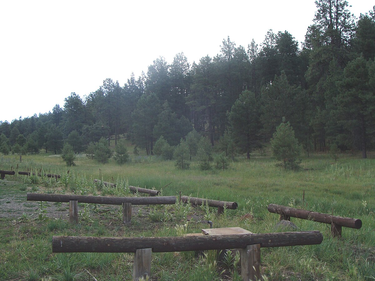 Wikimedia Commons