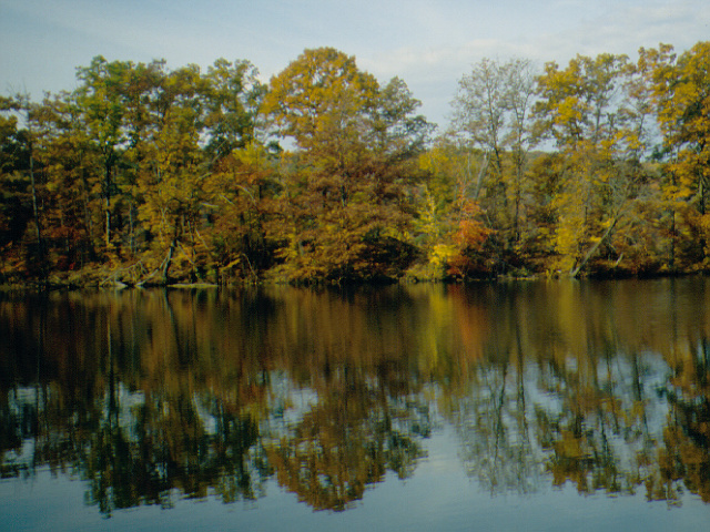 Wikimedia Commons