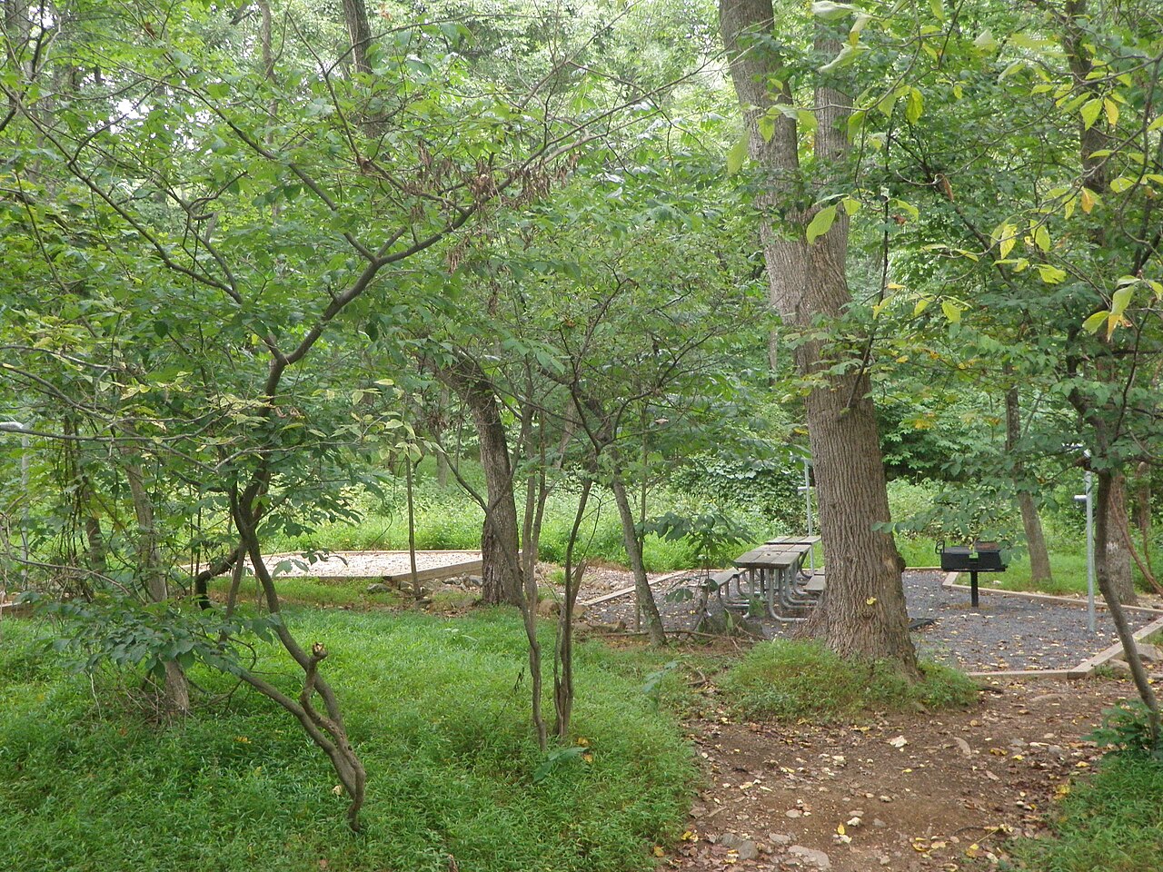 Backcountry Hike-In Campground