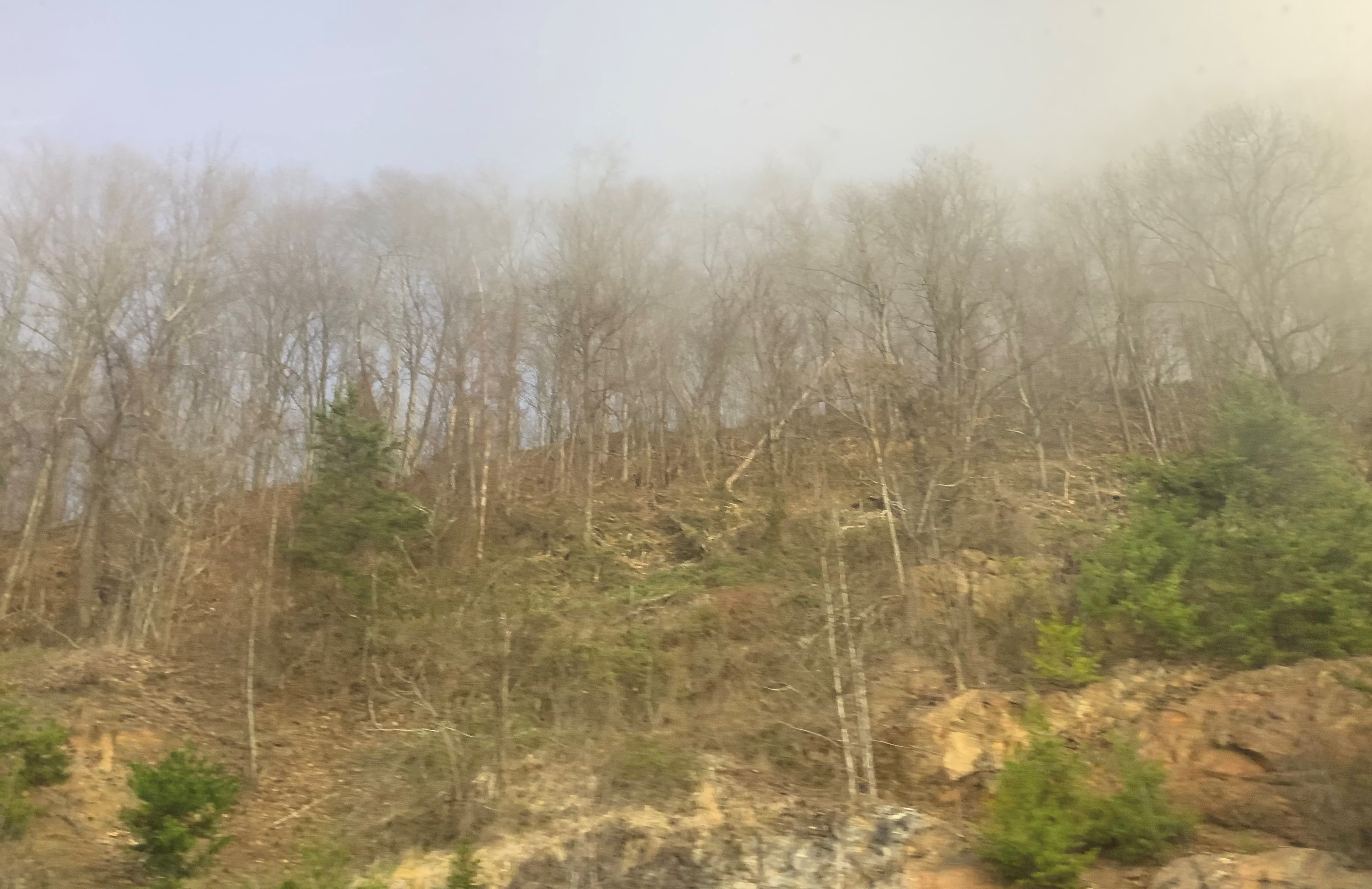 Crowders Mountain State Park