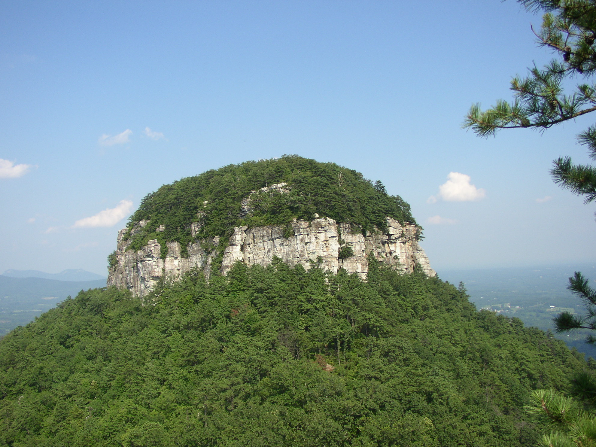 Wikimedia Commons