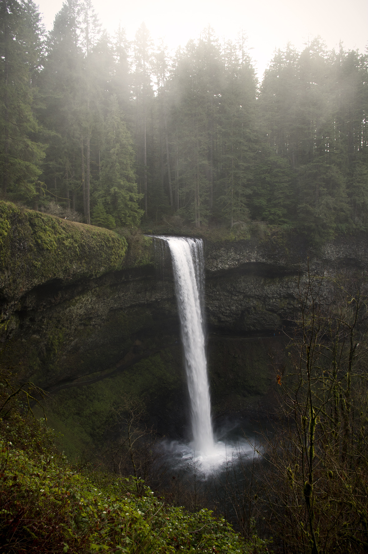 Silver Falls State Park