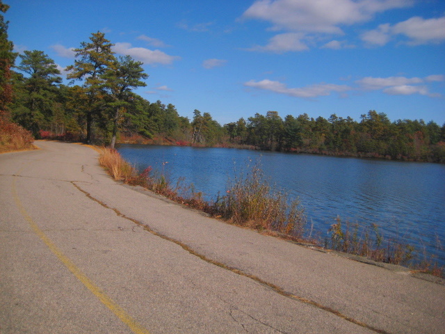 Myles Standish State Forest