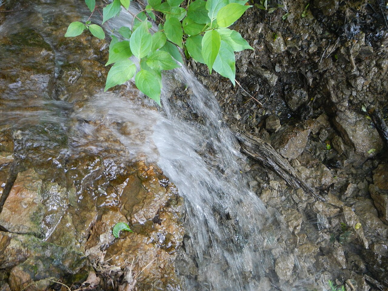 Kickapoo Campground