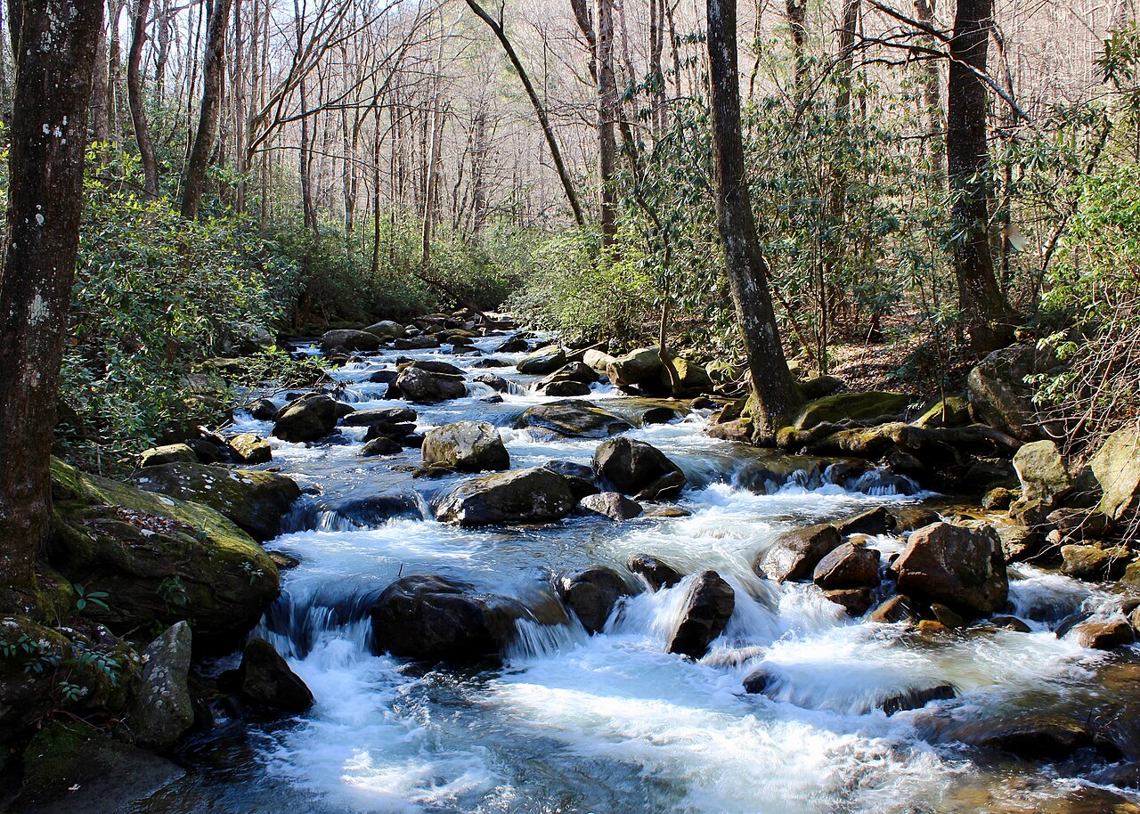 Jones Gap State Park