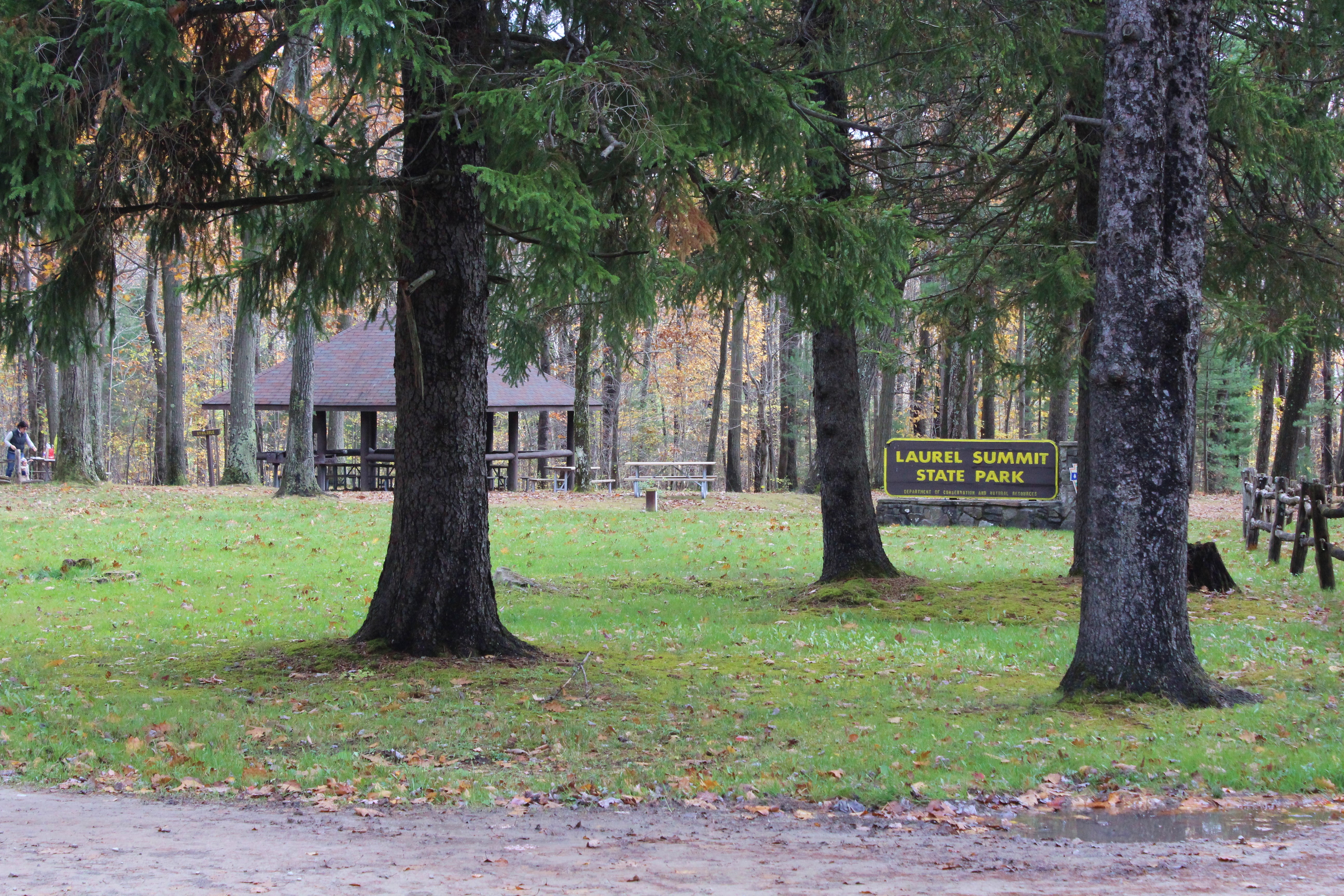 Laurel Summit State Park