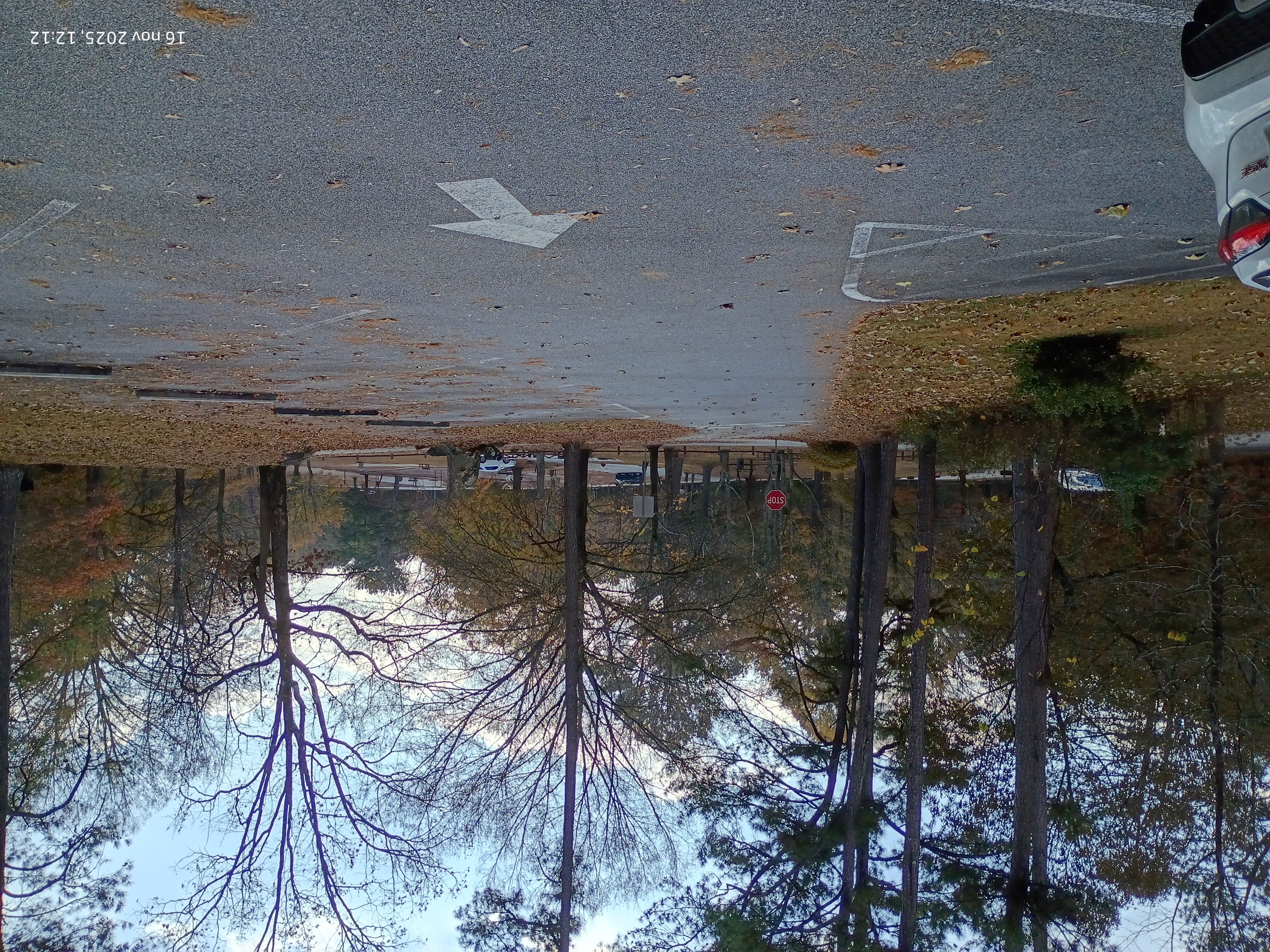 Panola Mountain State Park