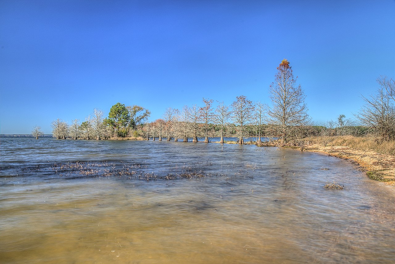 Bluff Creek