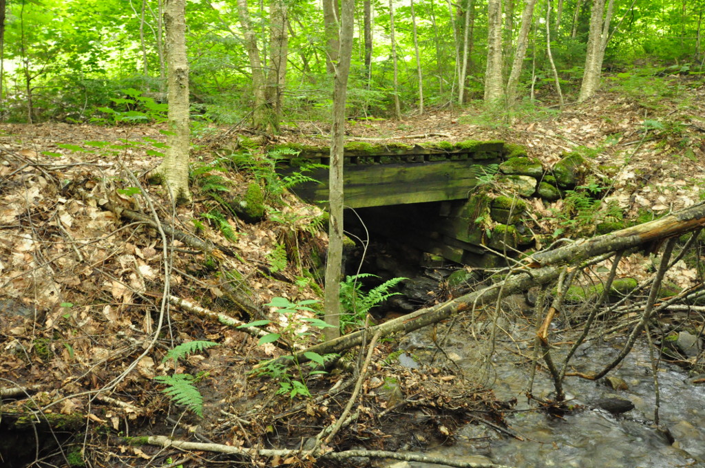 Waterbury Reservoir Remote Sites