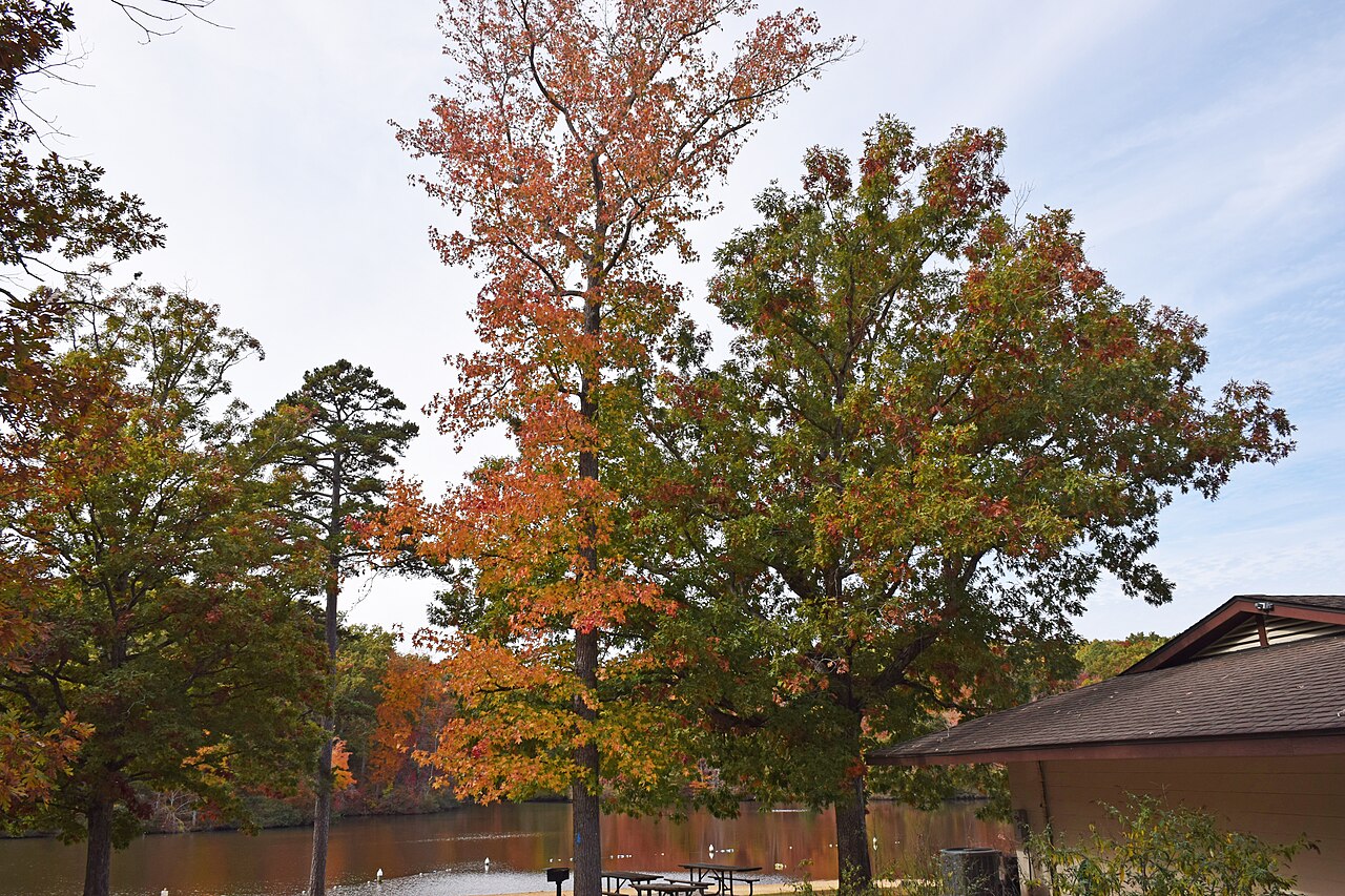 Cedar Crest Conference Center Campground