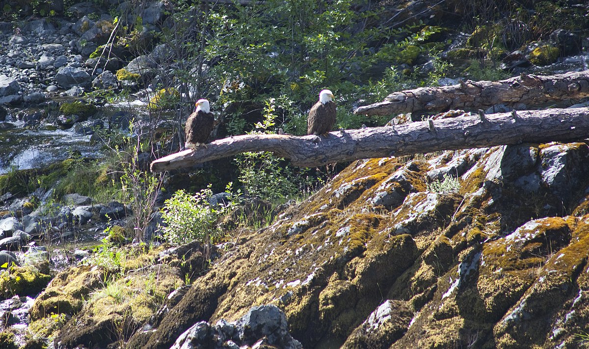 Trinity River Campground