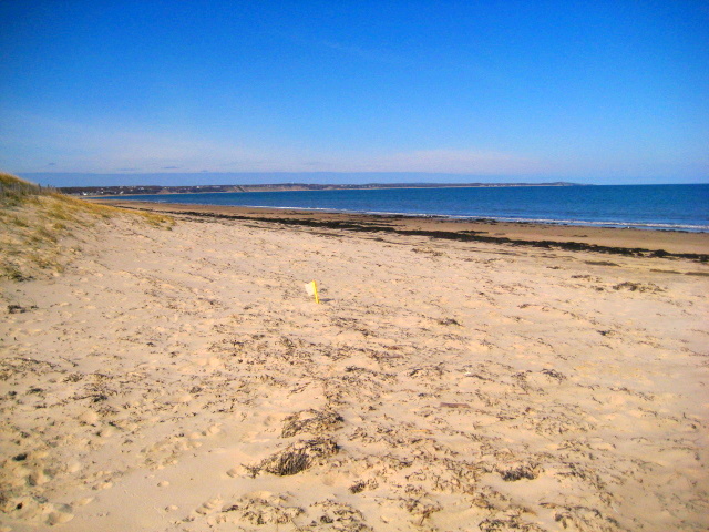Scusset Beach State Reservation