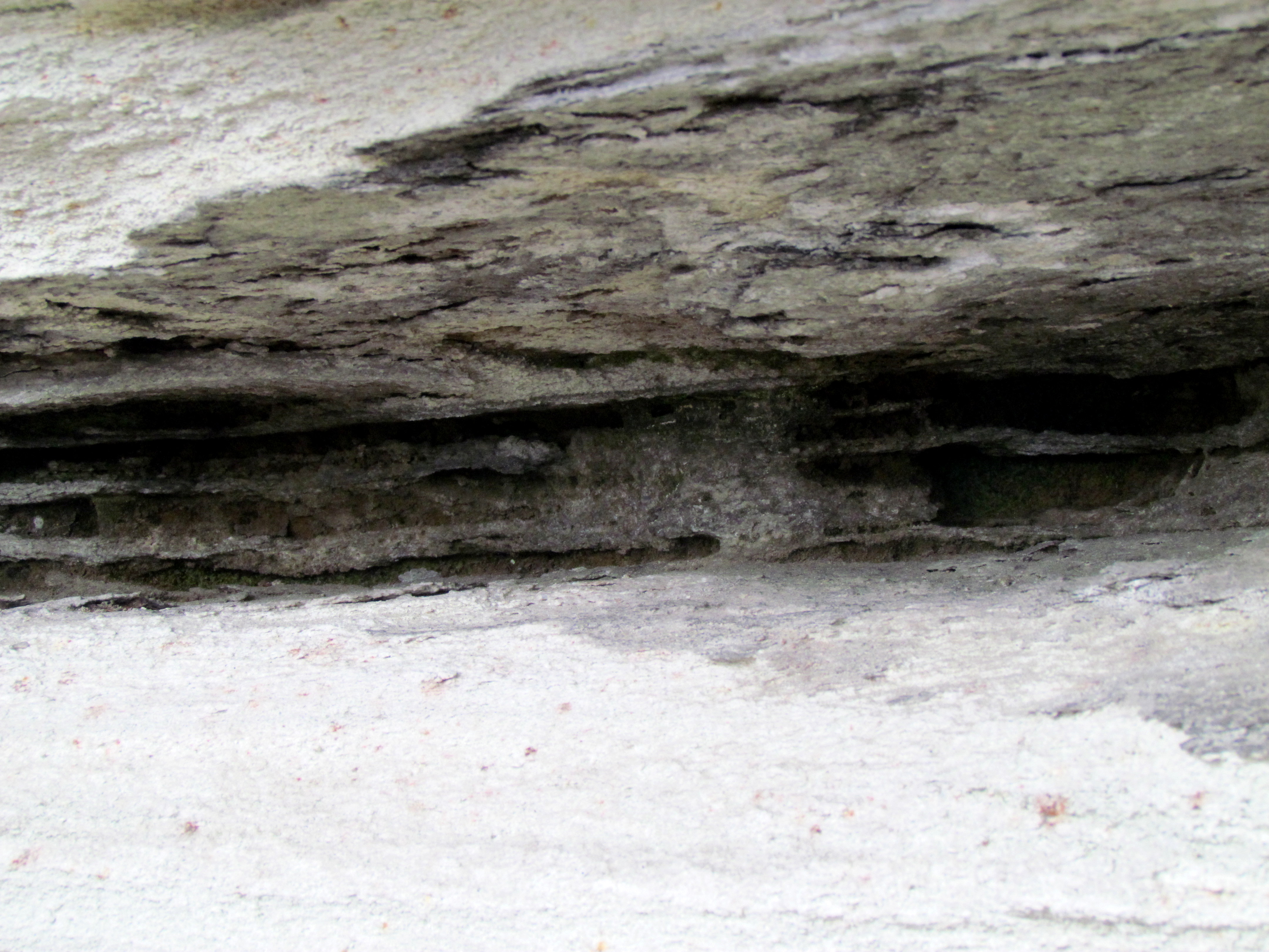 Wikimedia Commons