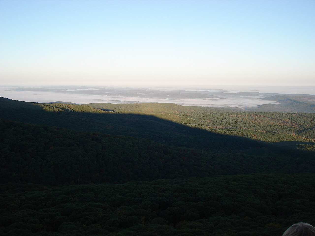 Wikimedia Commons