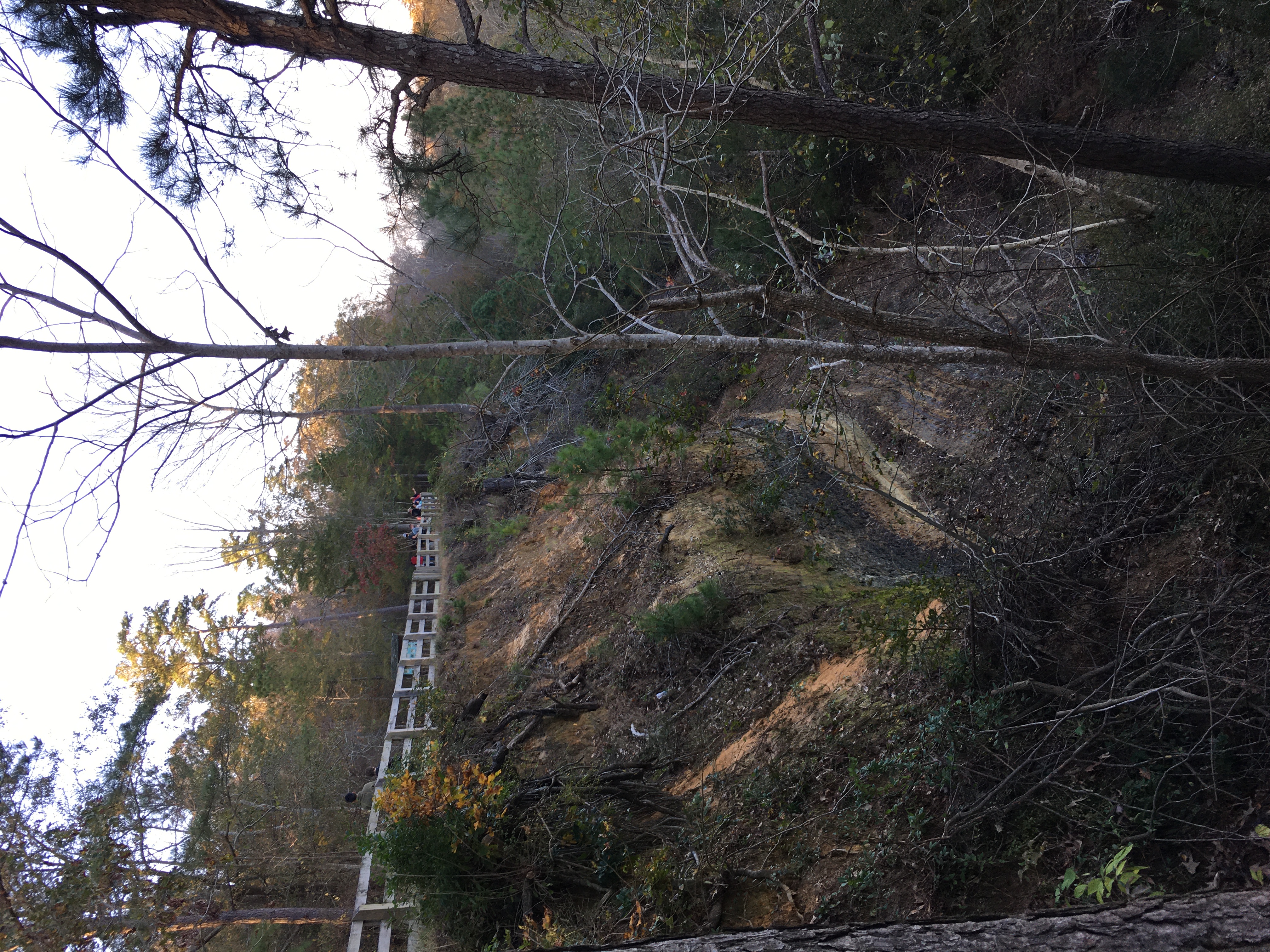 Cliffs Of The Neuse State Park