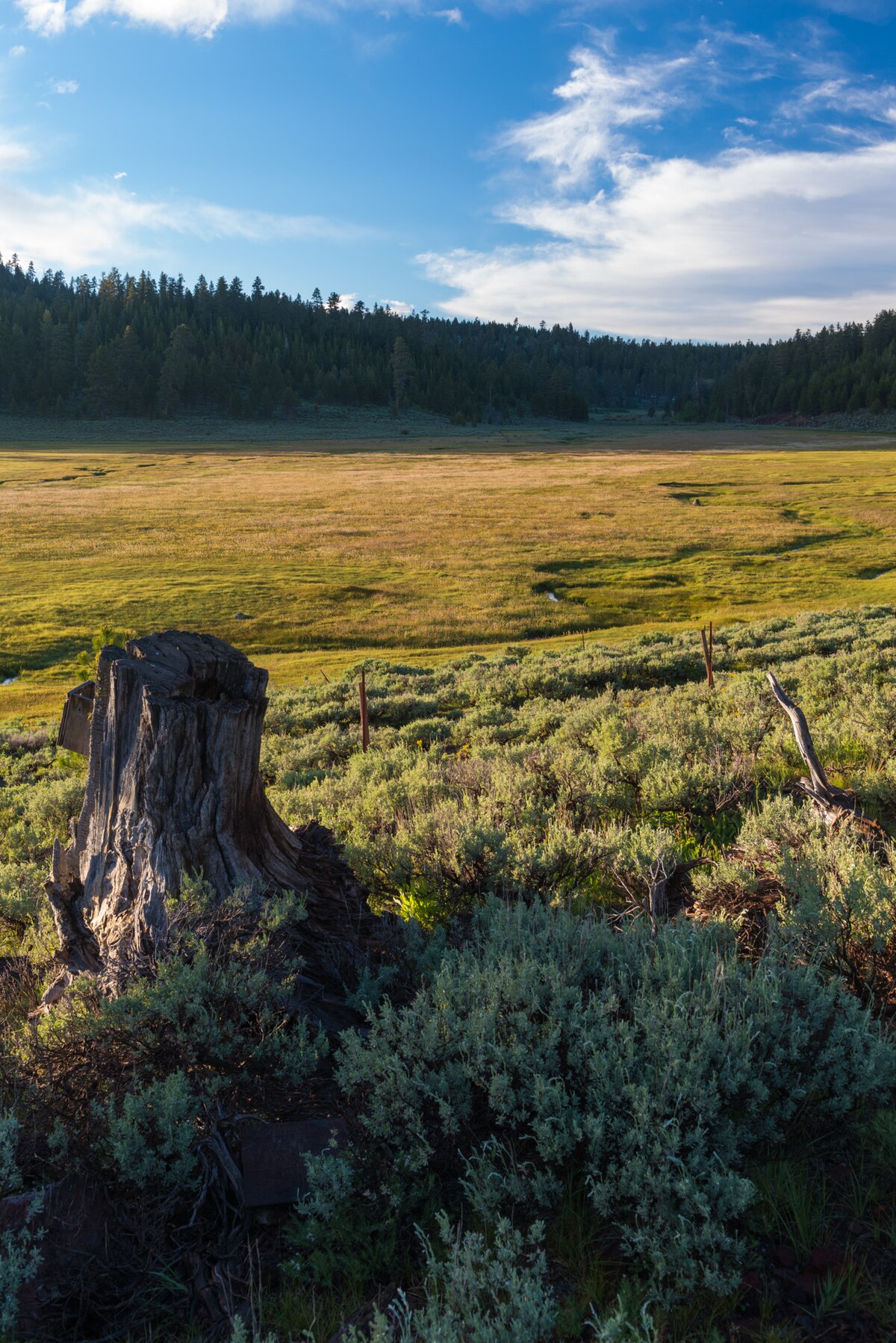 Mud Creek Campground