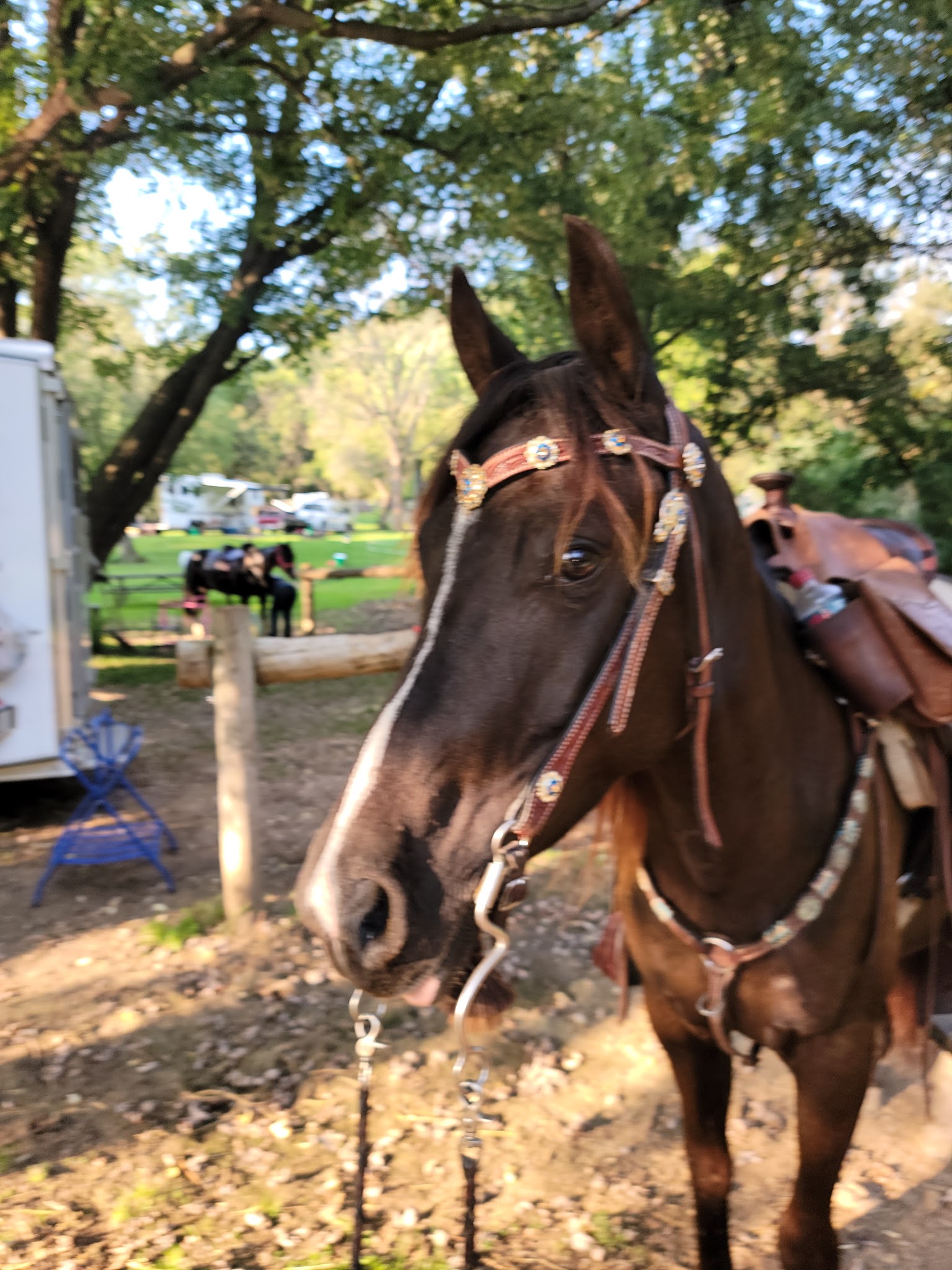Wildcat Mountain State Park