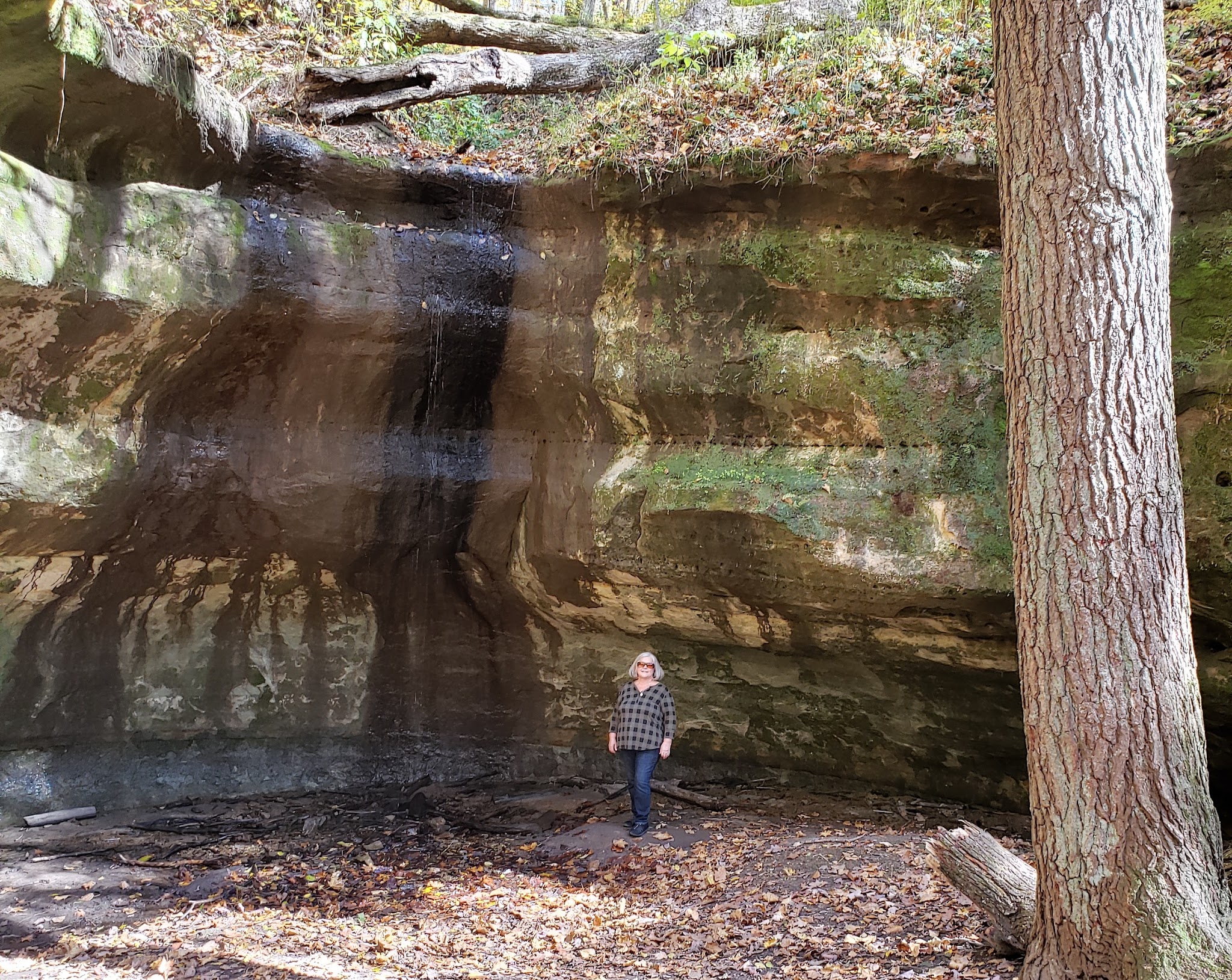 Wildcat Mountain State Park