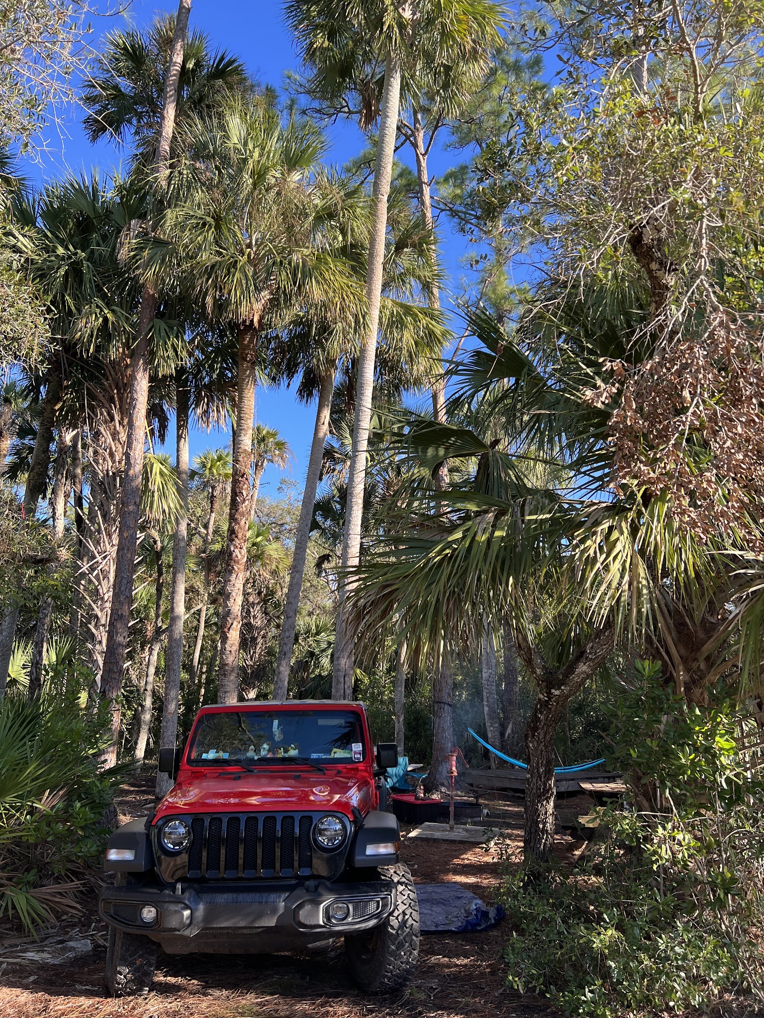 Wildcow Primitive Group Camp Okaloacoochee Slough State Forest 