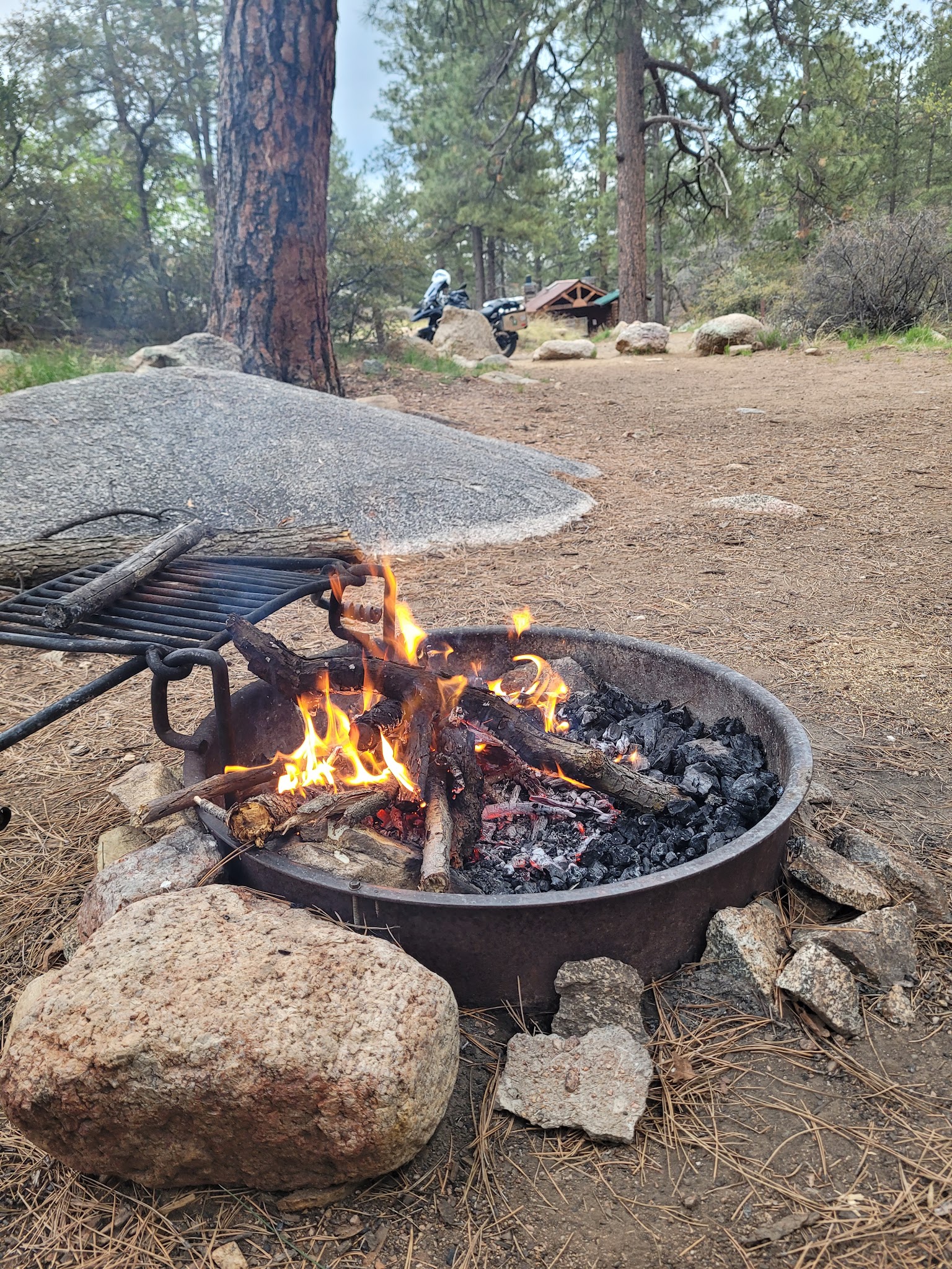 Wild Cow Springs Campground