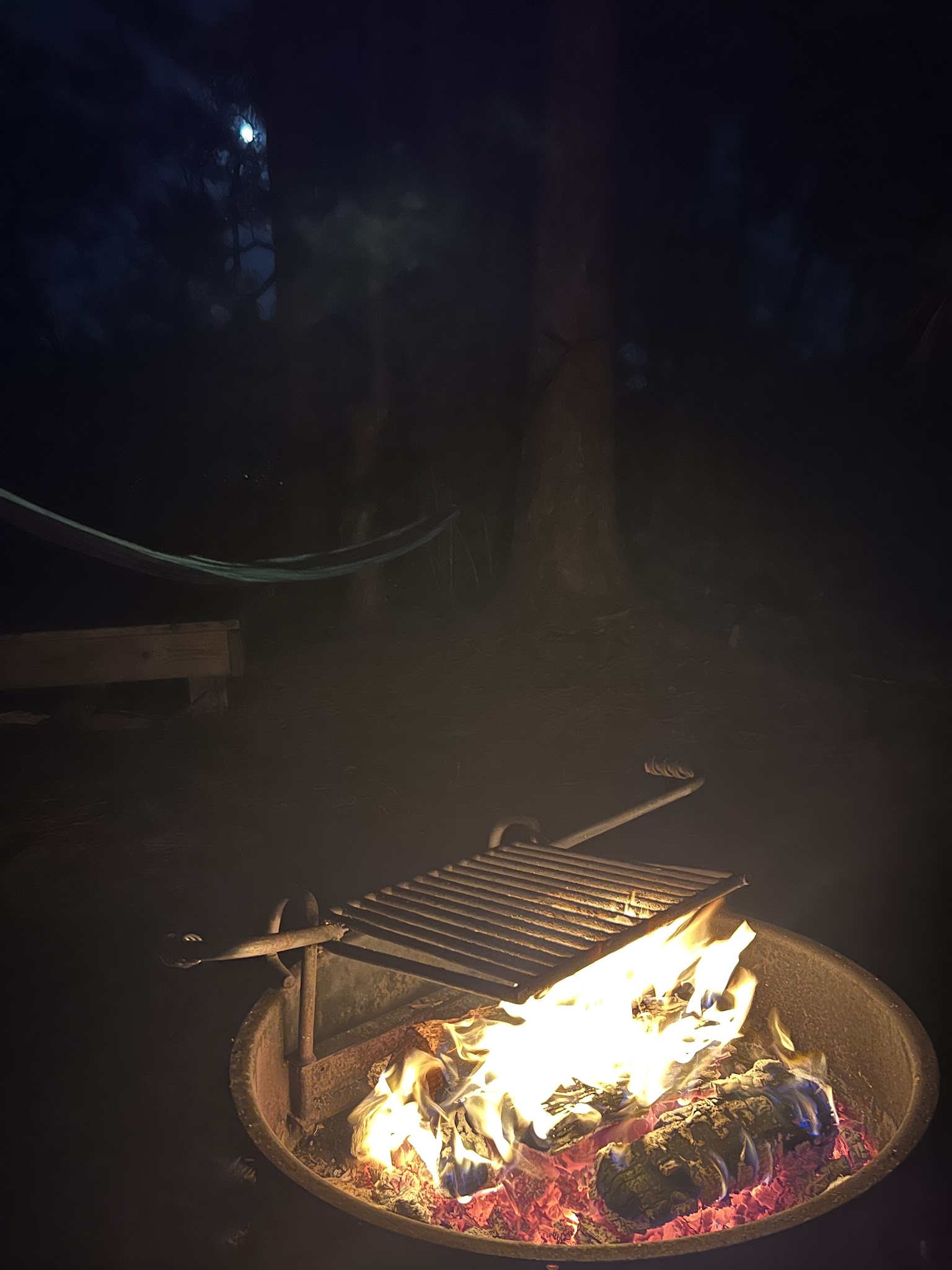 Wildcow Primitive Group Camp Okaloacoochee Slough State Forest 