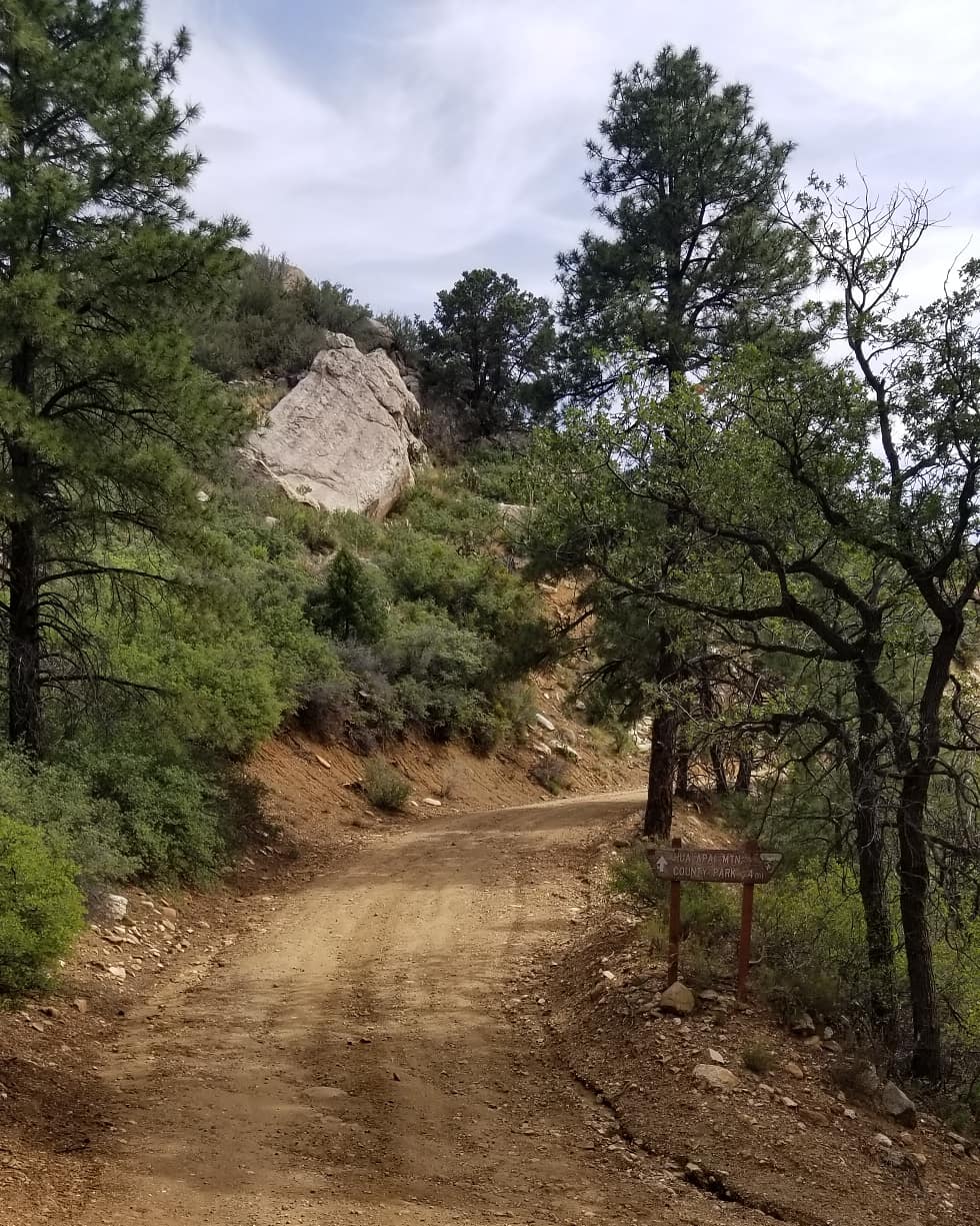 Wild Cow Springs Campground