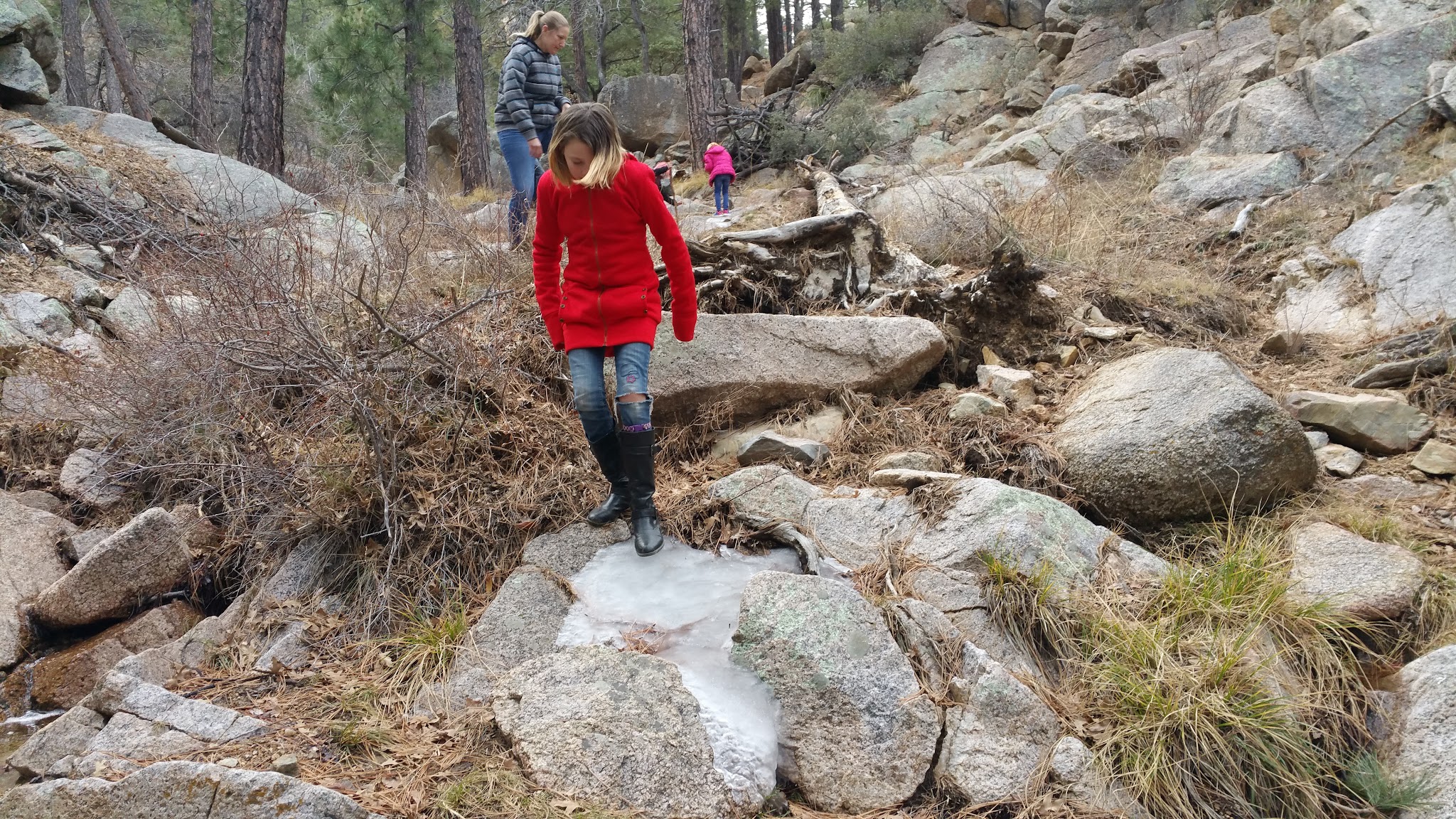 Wild Cow Springs Campground