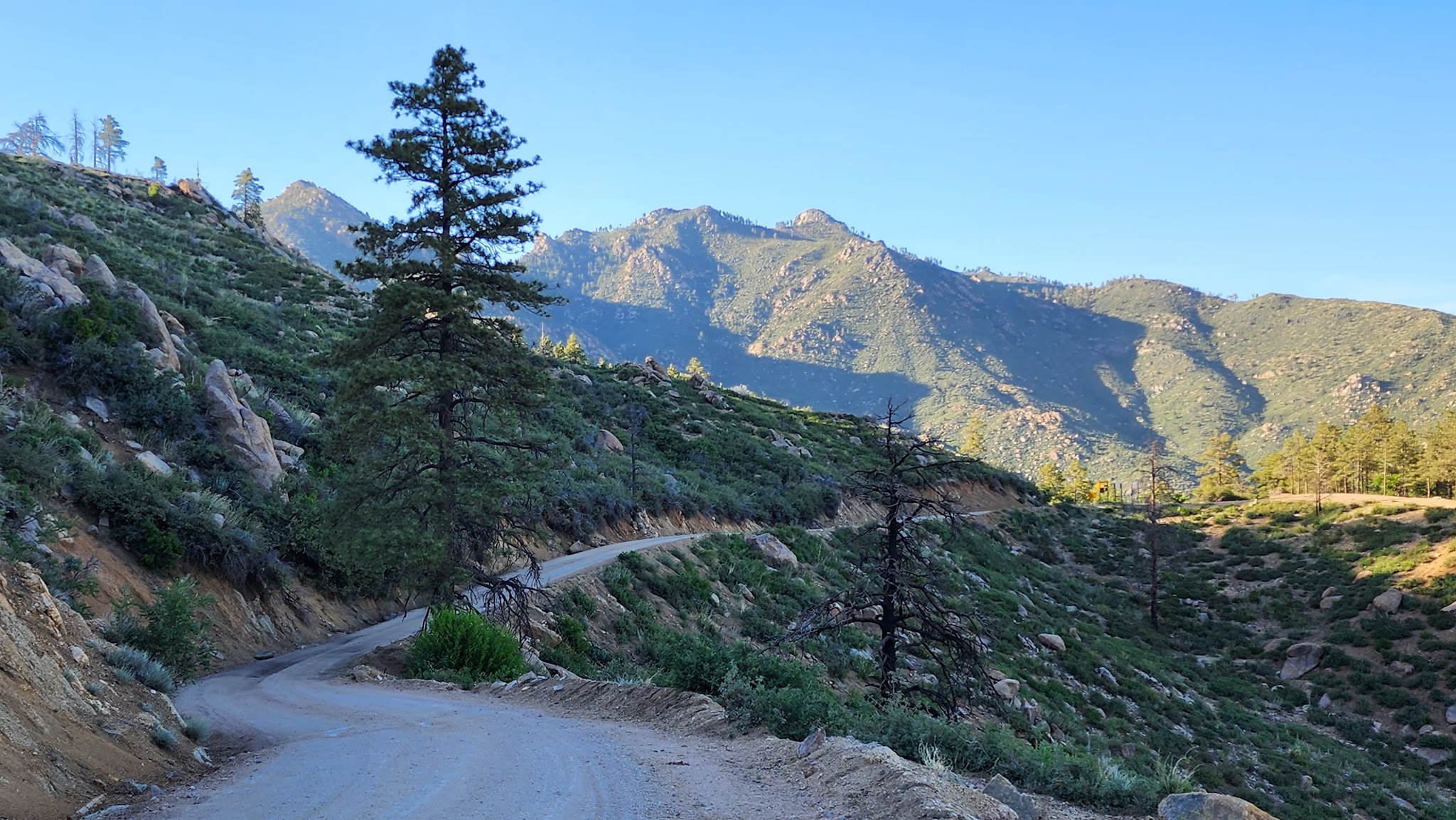 Wild Cow Springs Campground