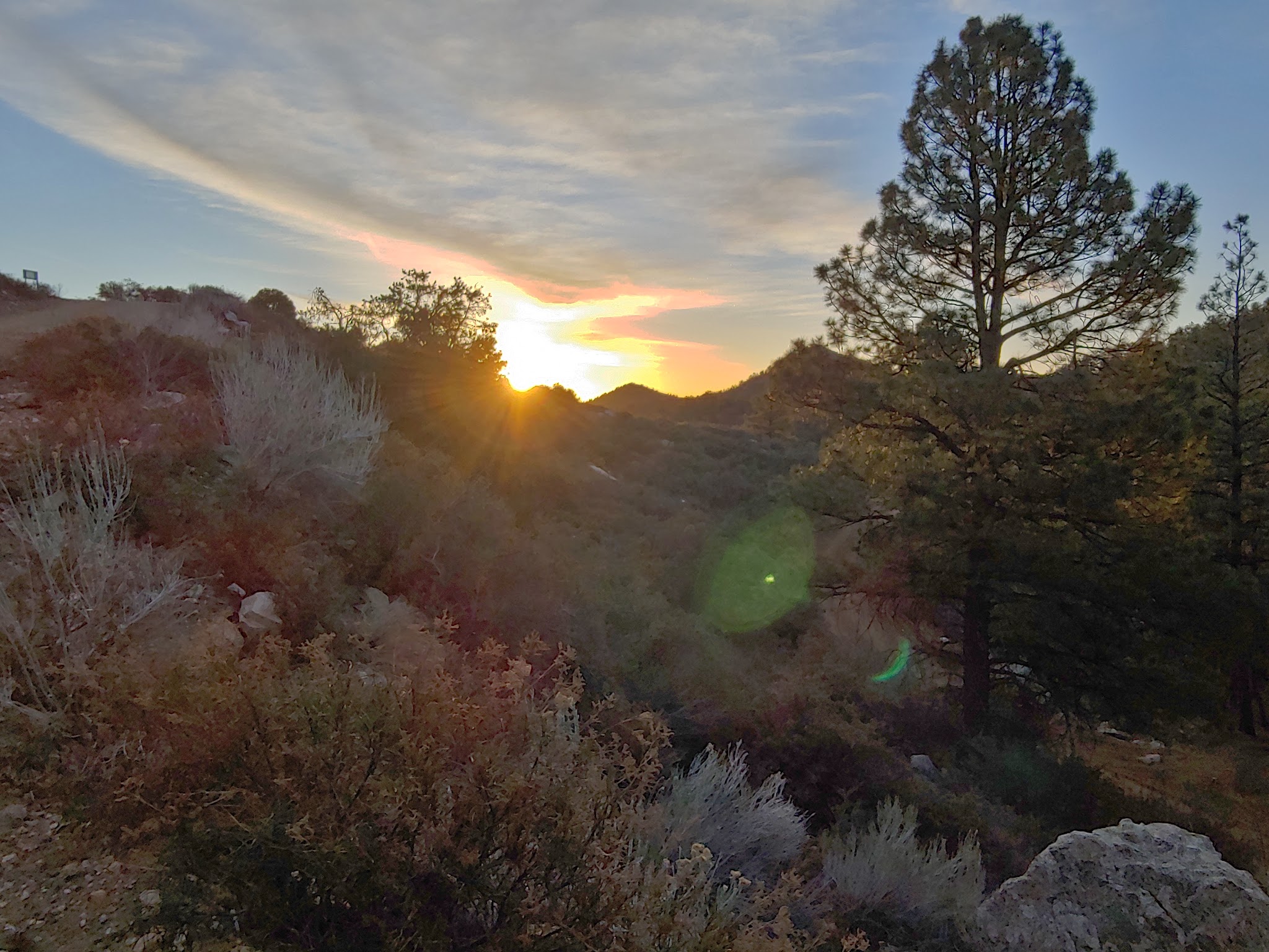 Wild Cow Springs Campground