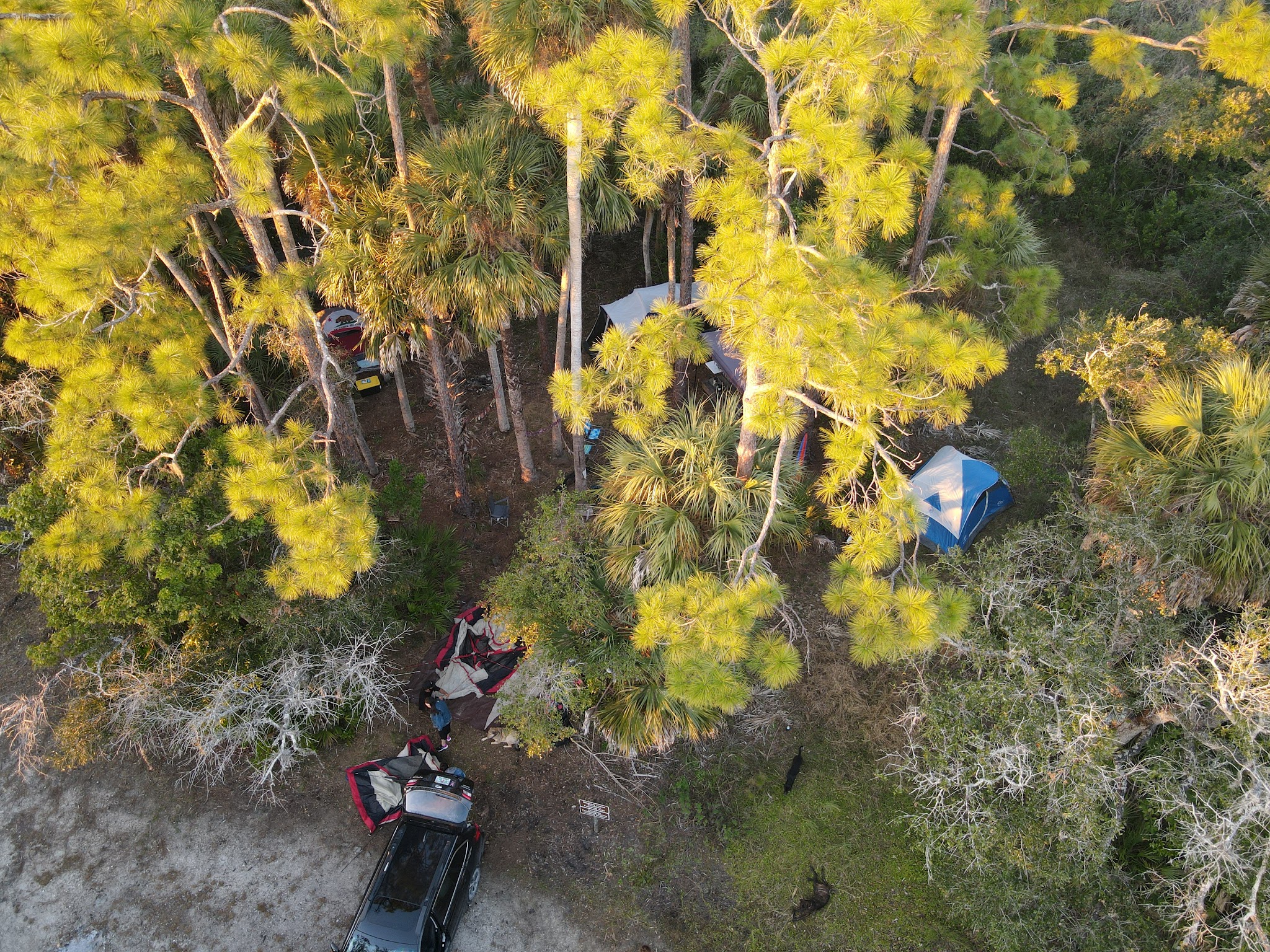 Wildcow Primitive Group Camp Okaloacoochee Slough State Forest 