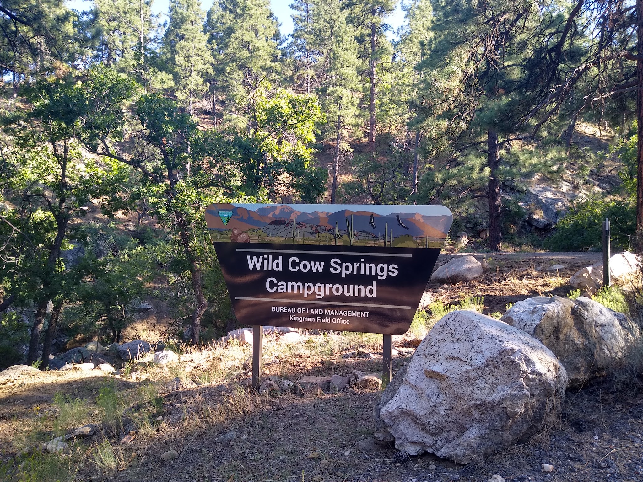 Wild Cow Springs Campground