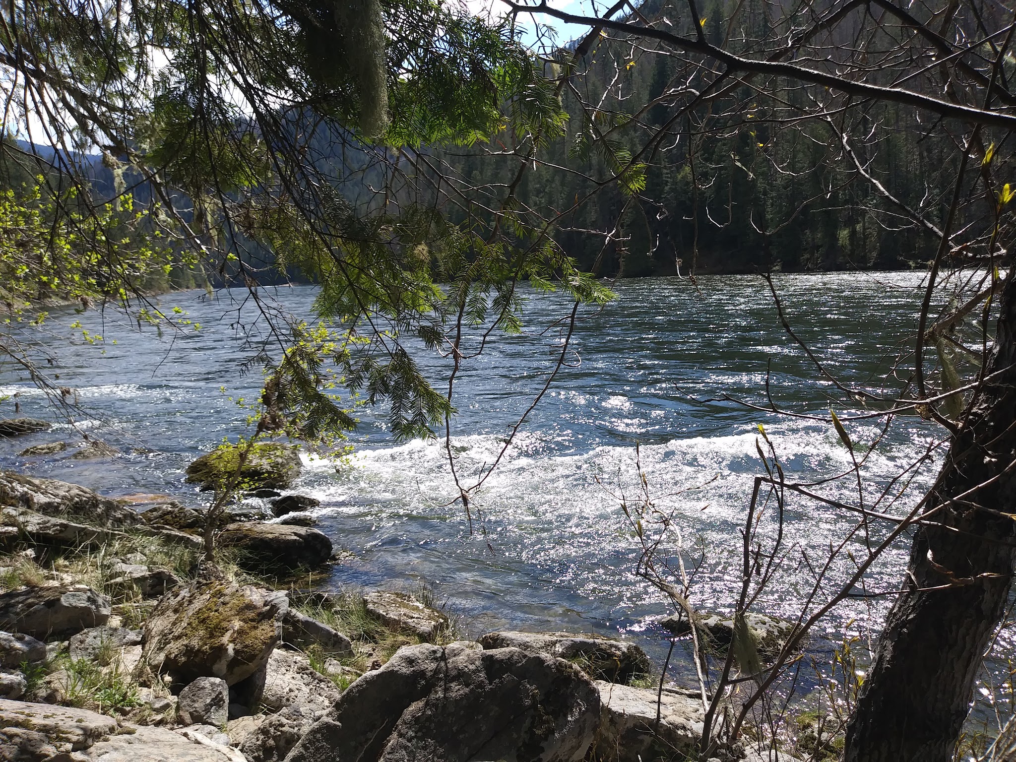 Wild Goose Campground