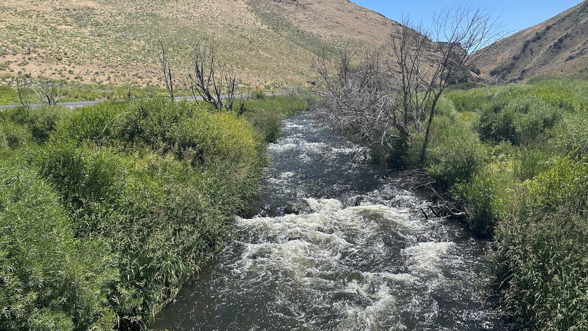 Wildhorse Crossing Campground