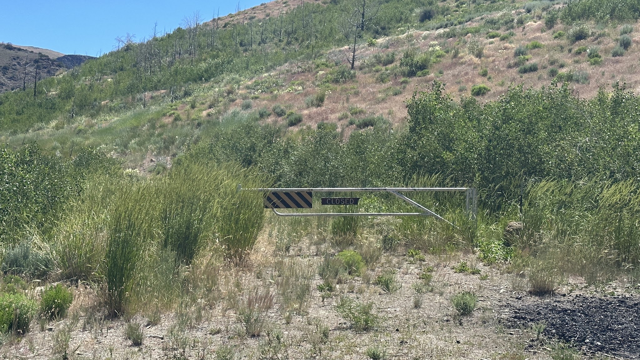 Wildhorse Crossing Campground