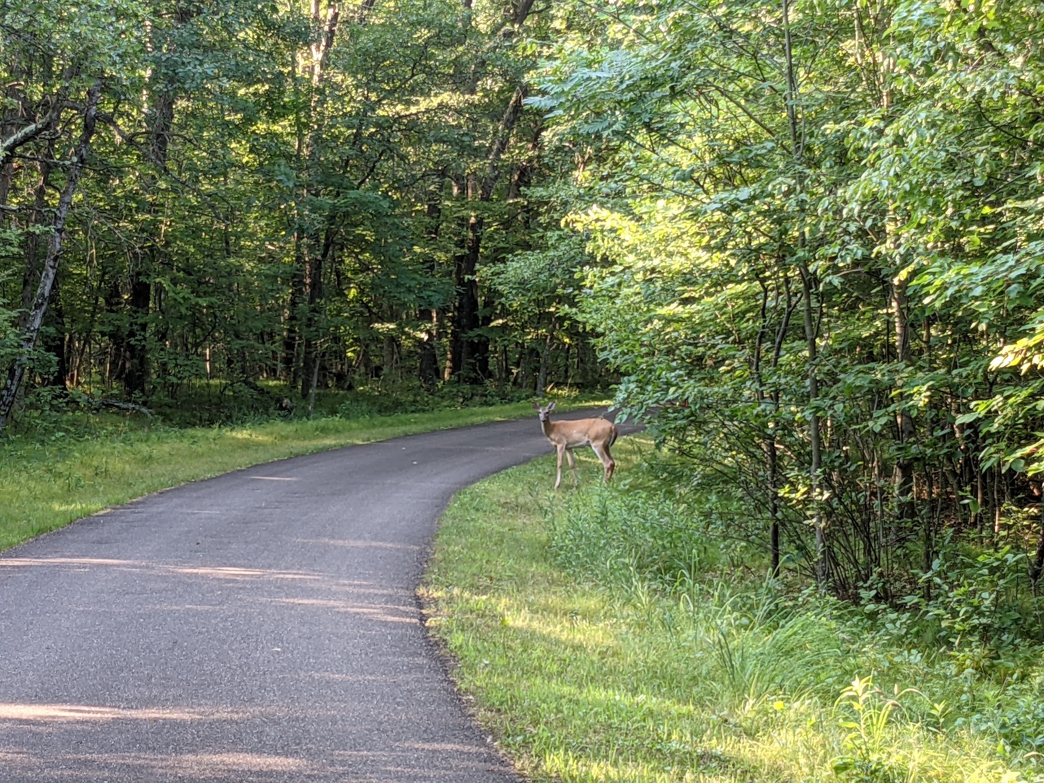Camper Cabins Campground