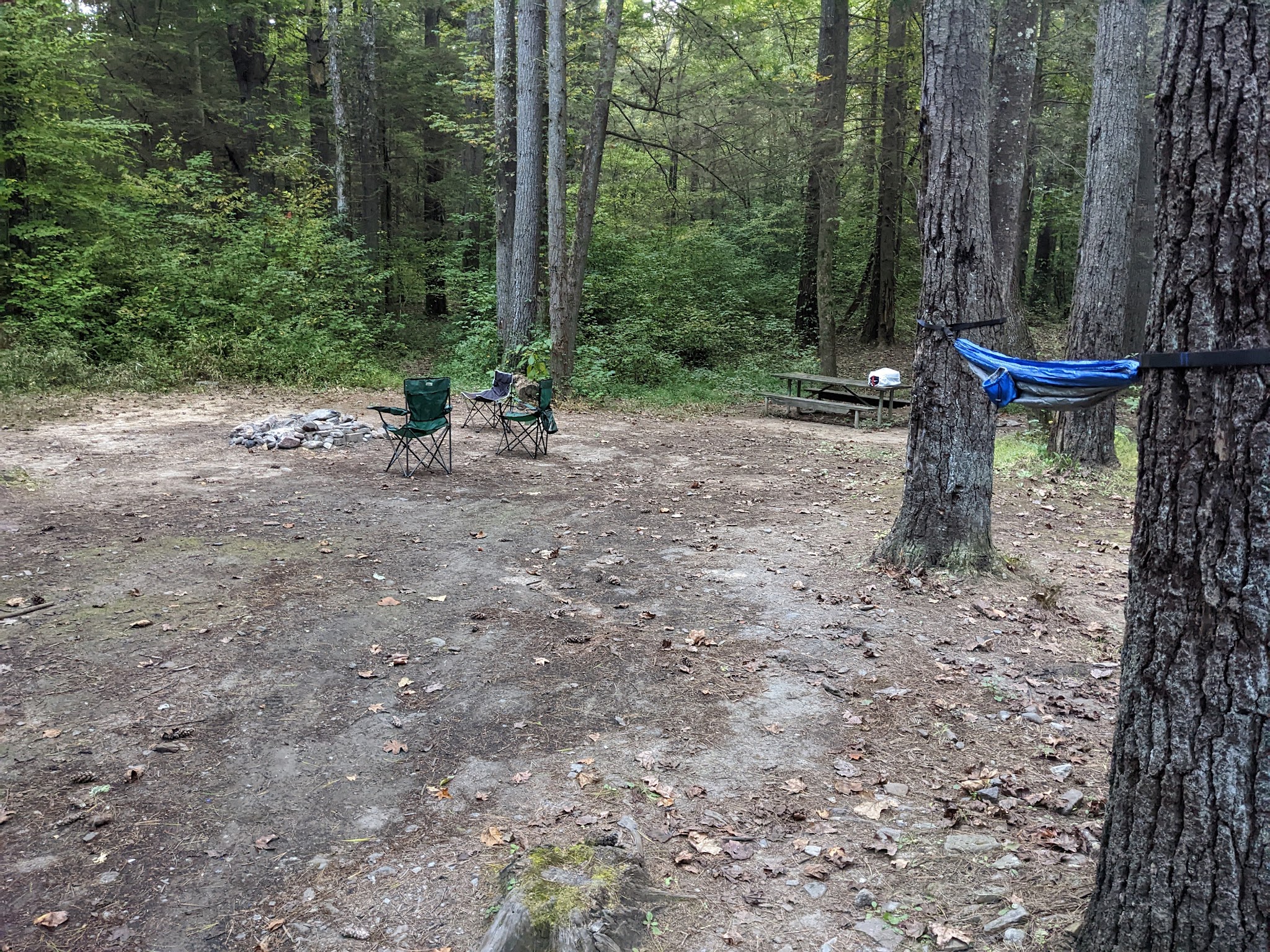 Wildcat Creek Campground #1 Lower