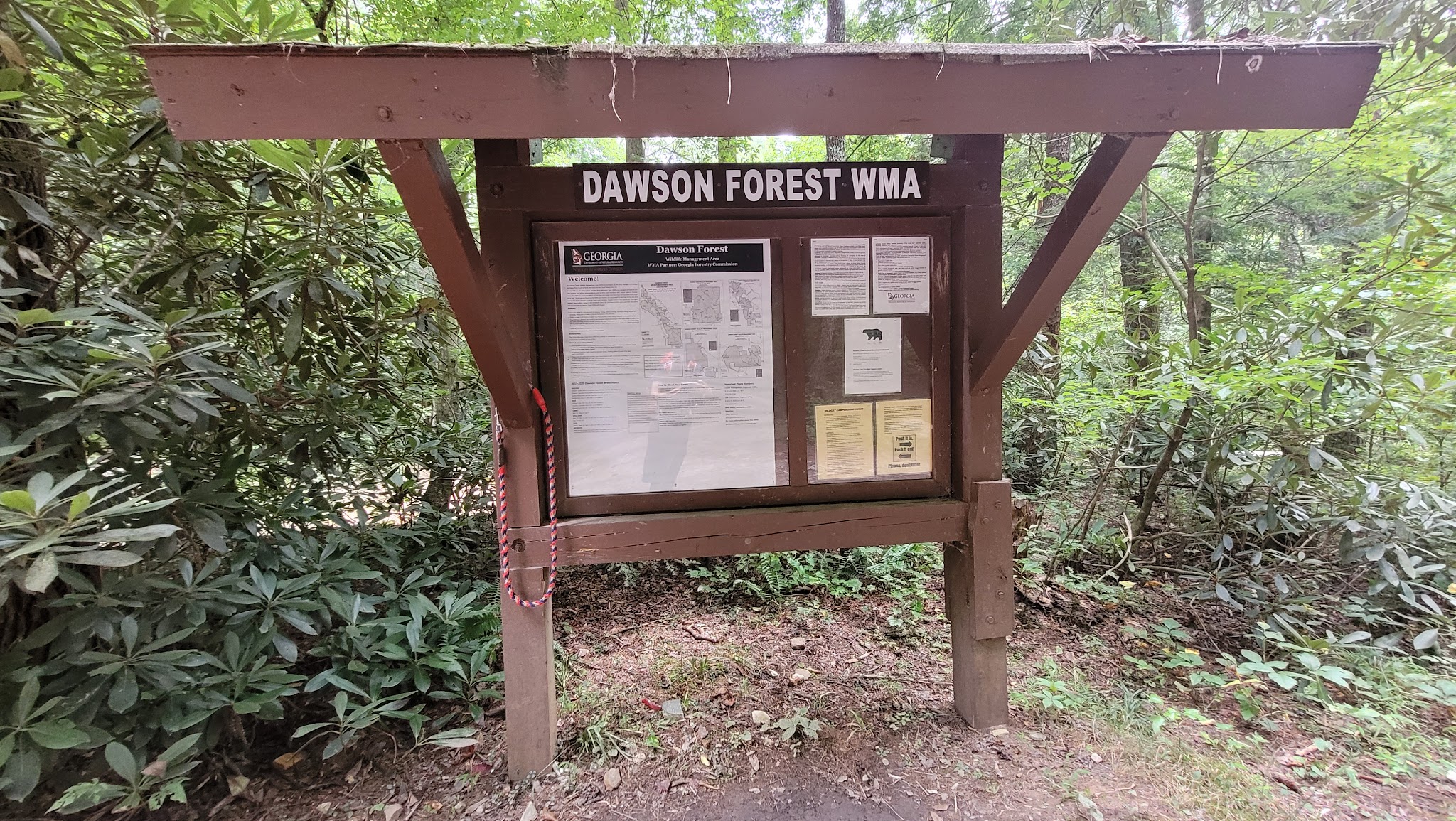 Wildcat Creek Campground #1 Lower