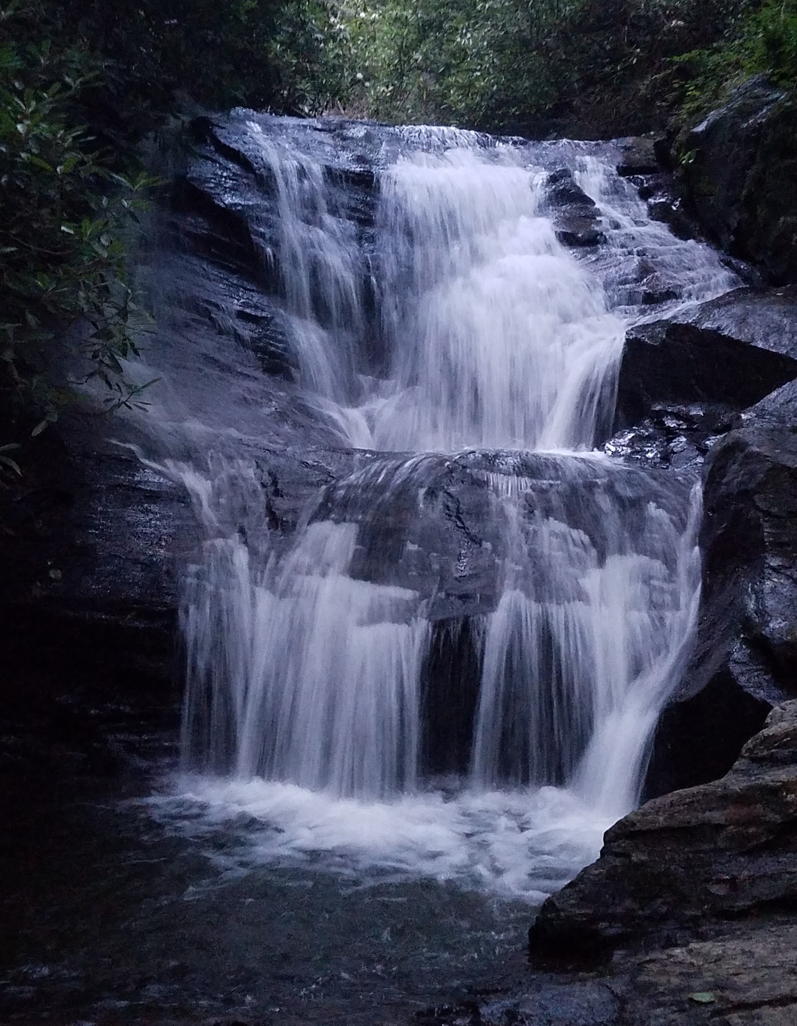 Wildcat Creek Campground #1 Lower