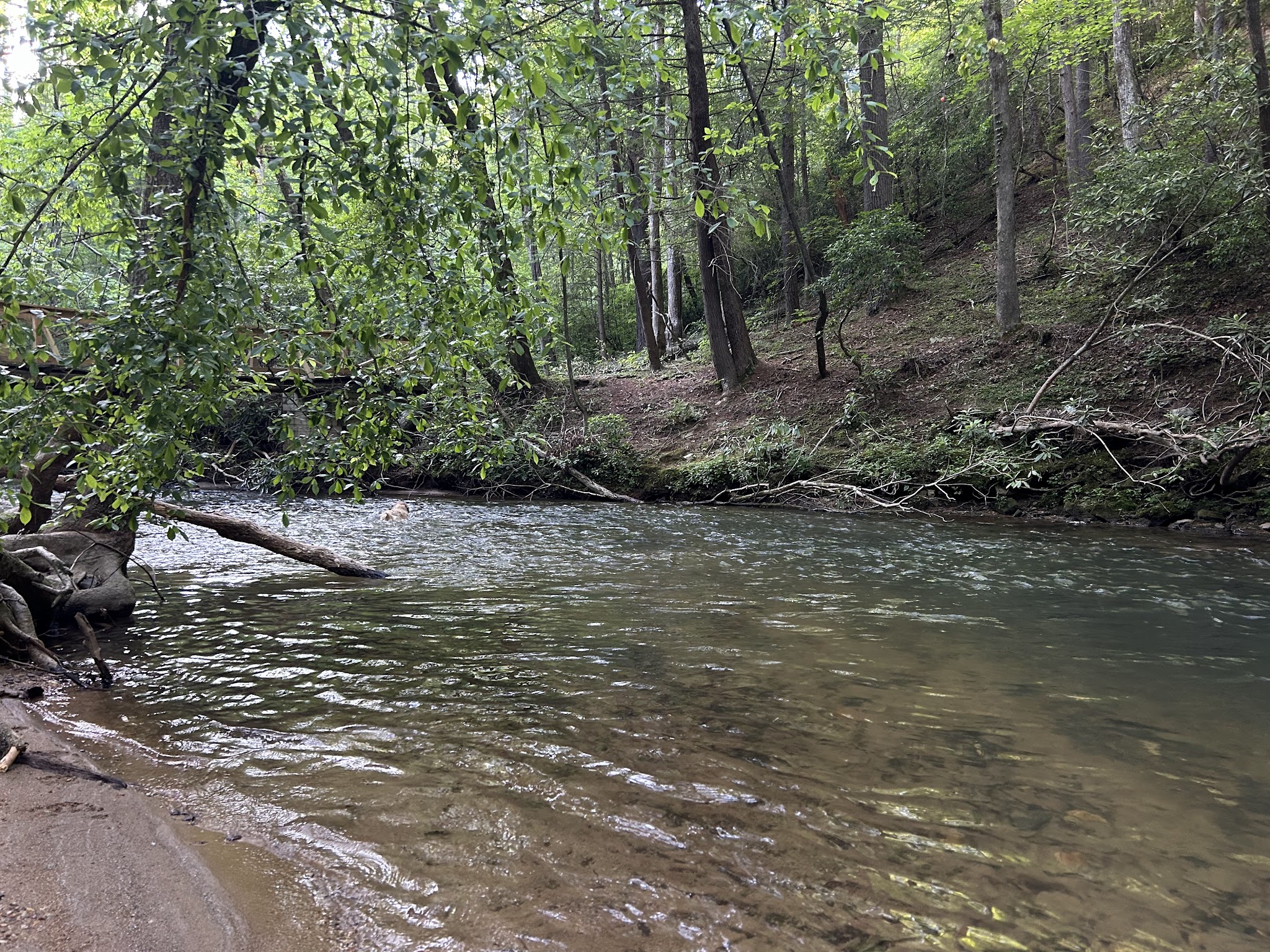 Wildcat Creek Campground #1 Lower