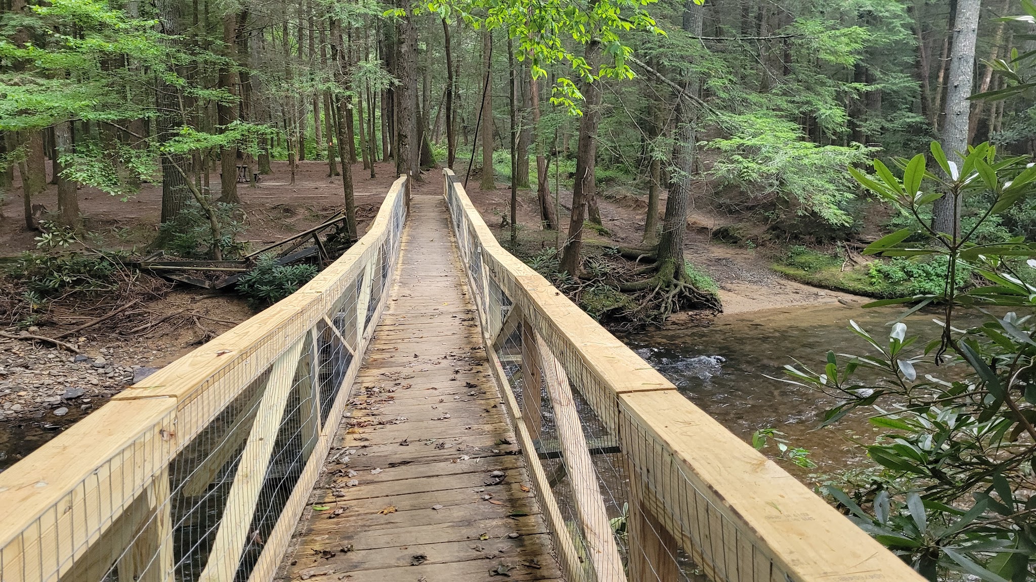 Wildcat Creek Campground #1 Lower