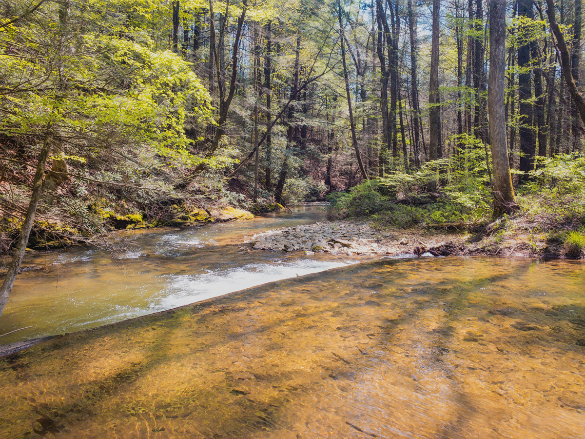 Wildcat Creek Campground #1 Lower