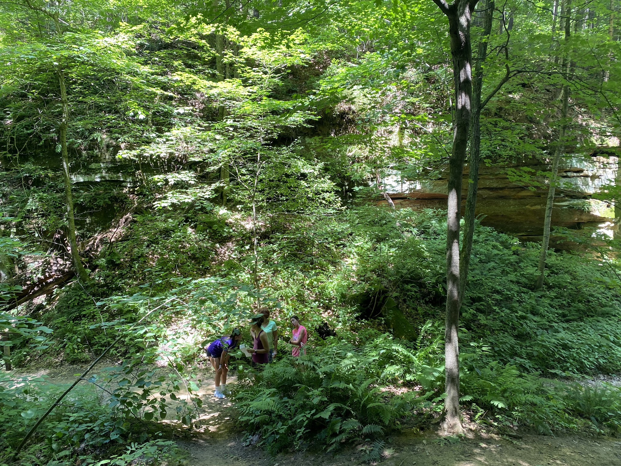 Wildcat Den State Park