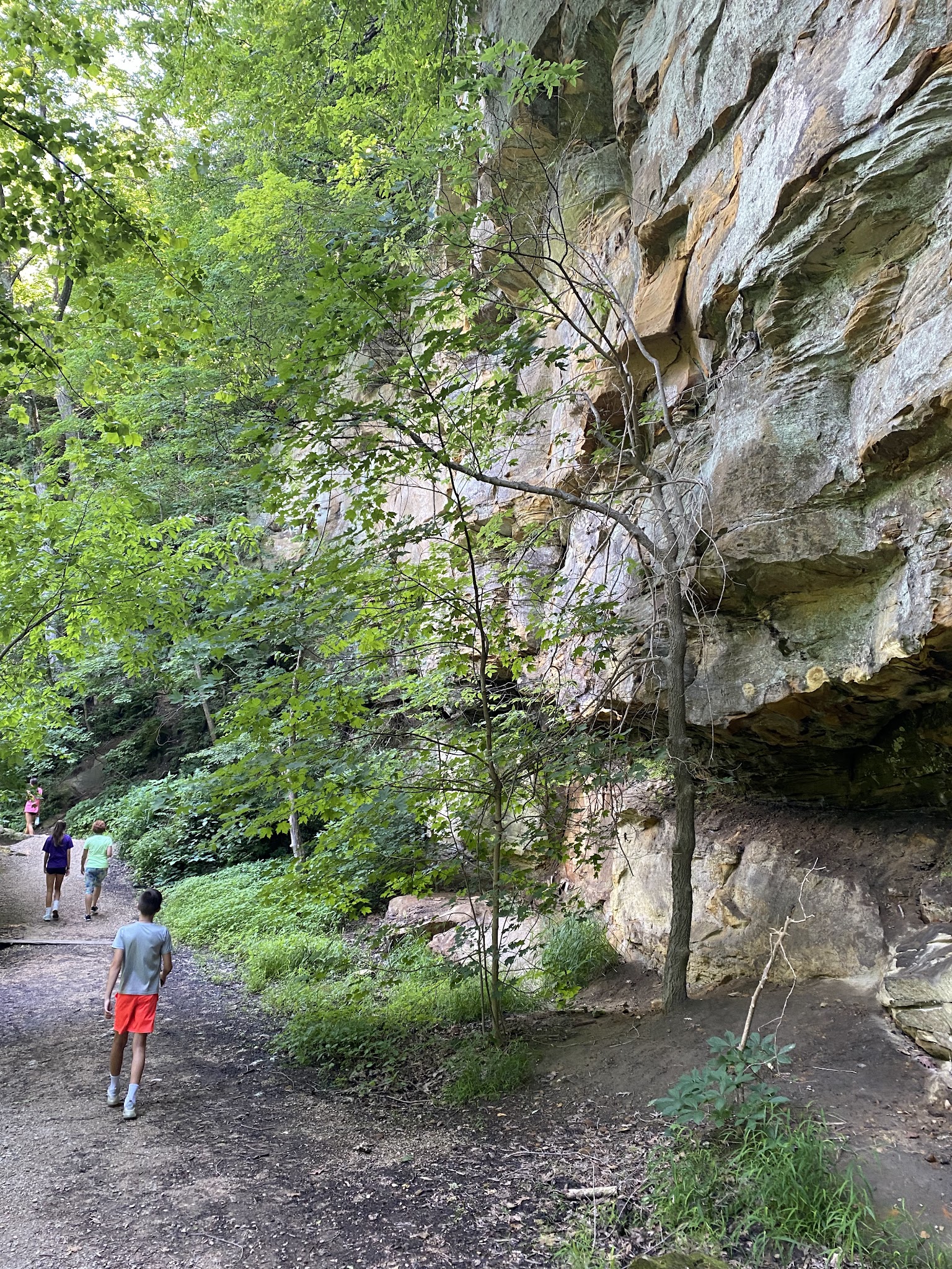 Wildcat Den State Park
