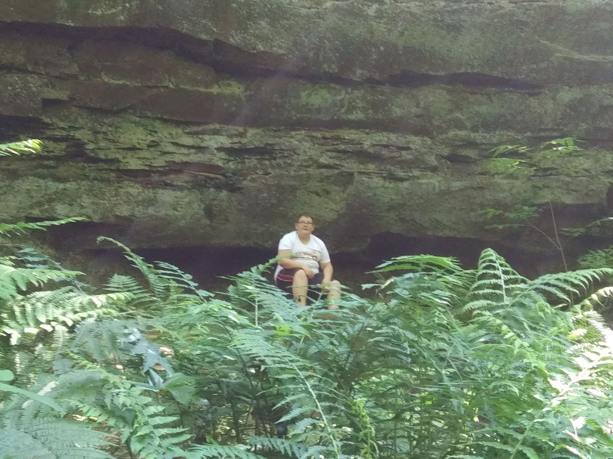 Wildcat Den State Park