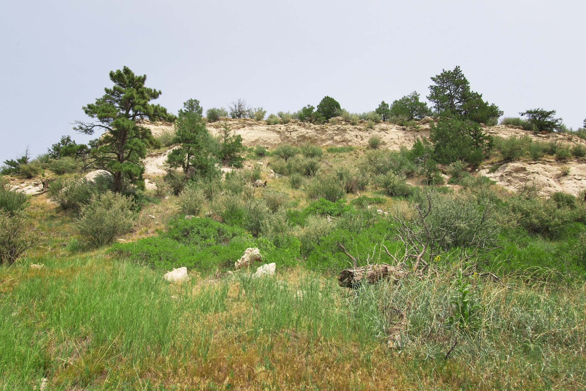 Wildcat Hills State Recreation Area