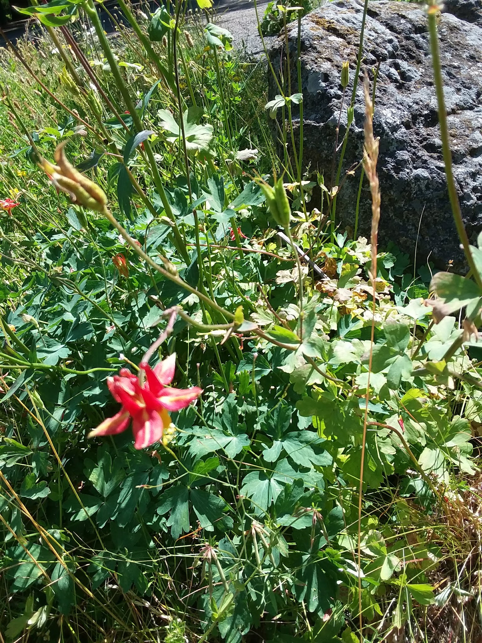 Trout Farm Campground