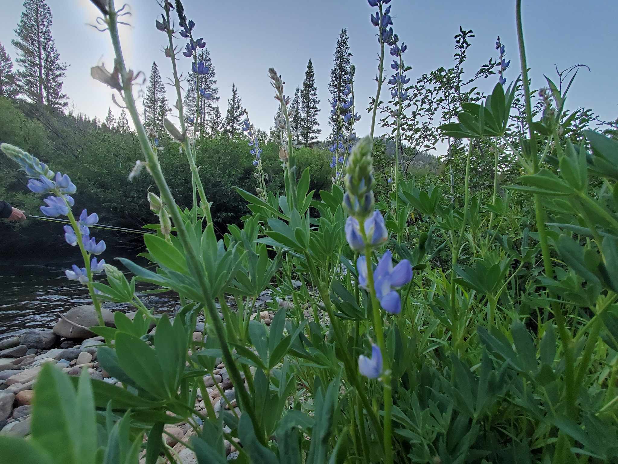 Minaret Falls Campground